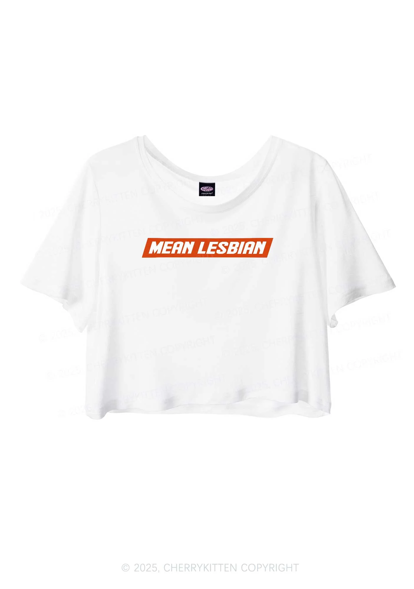 Mean Lesbian Pride Y2K Sheer Crop Tee Cherrykitten - Image 2