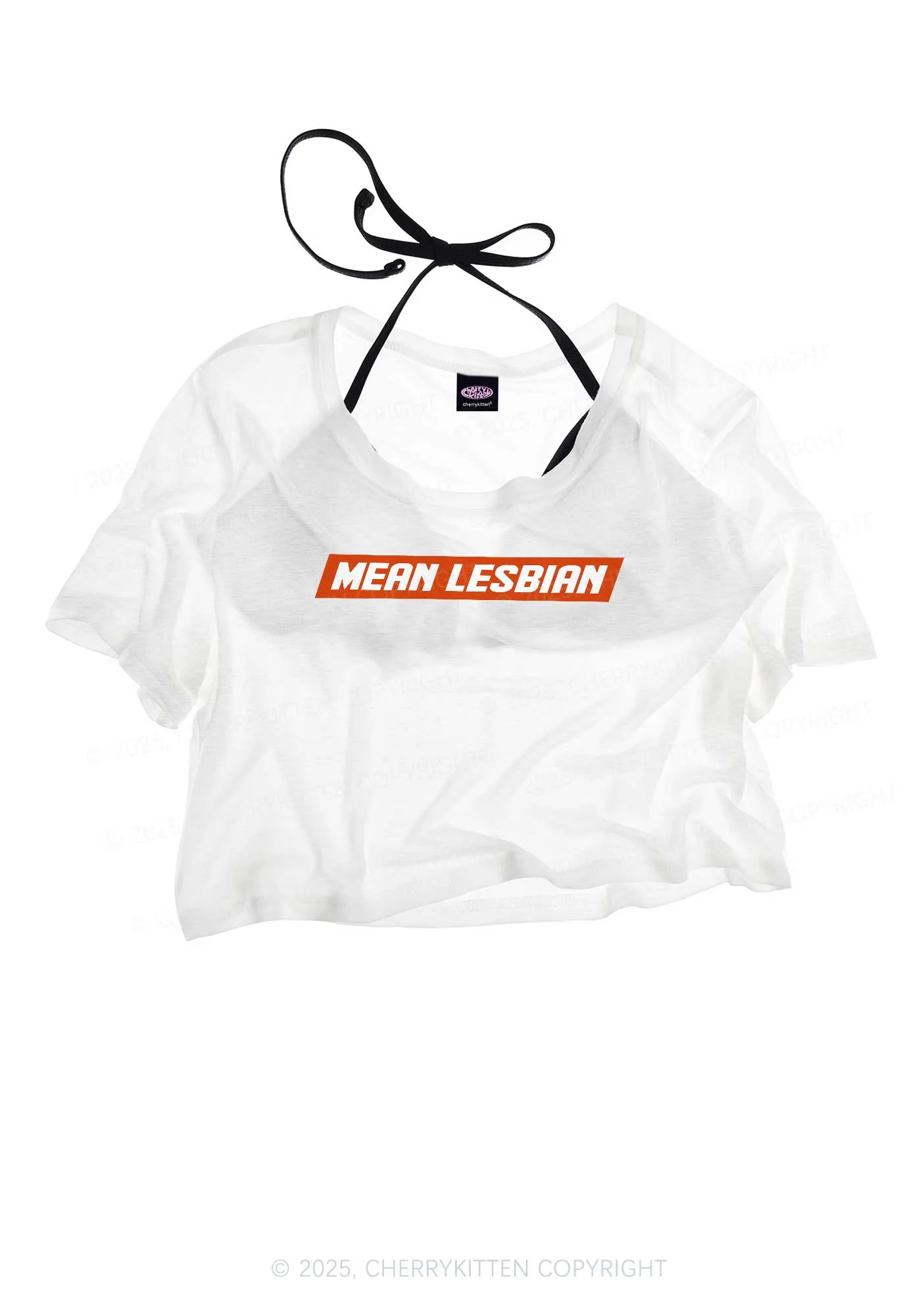 Mean Lesbian Pride Y2K Sheer Crop Tee Cherrykitten - Image 3