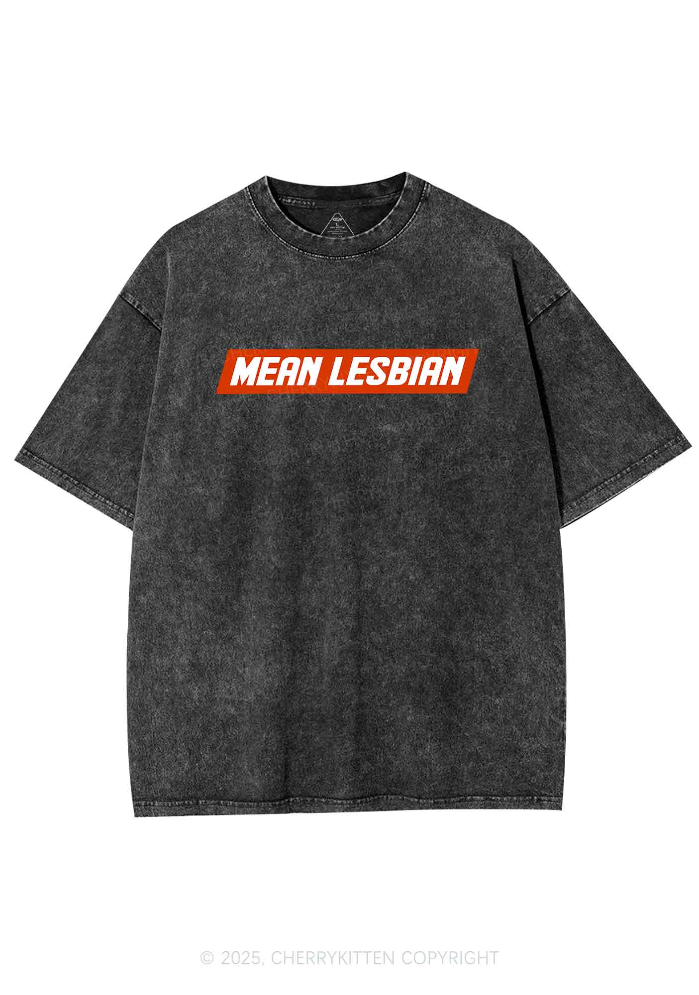 Mean Lesbian Y2K Washed Tee Cherrykitten - Image 3