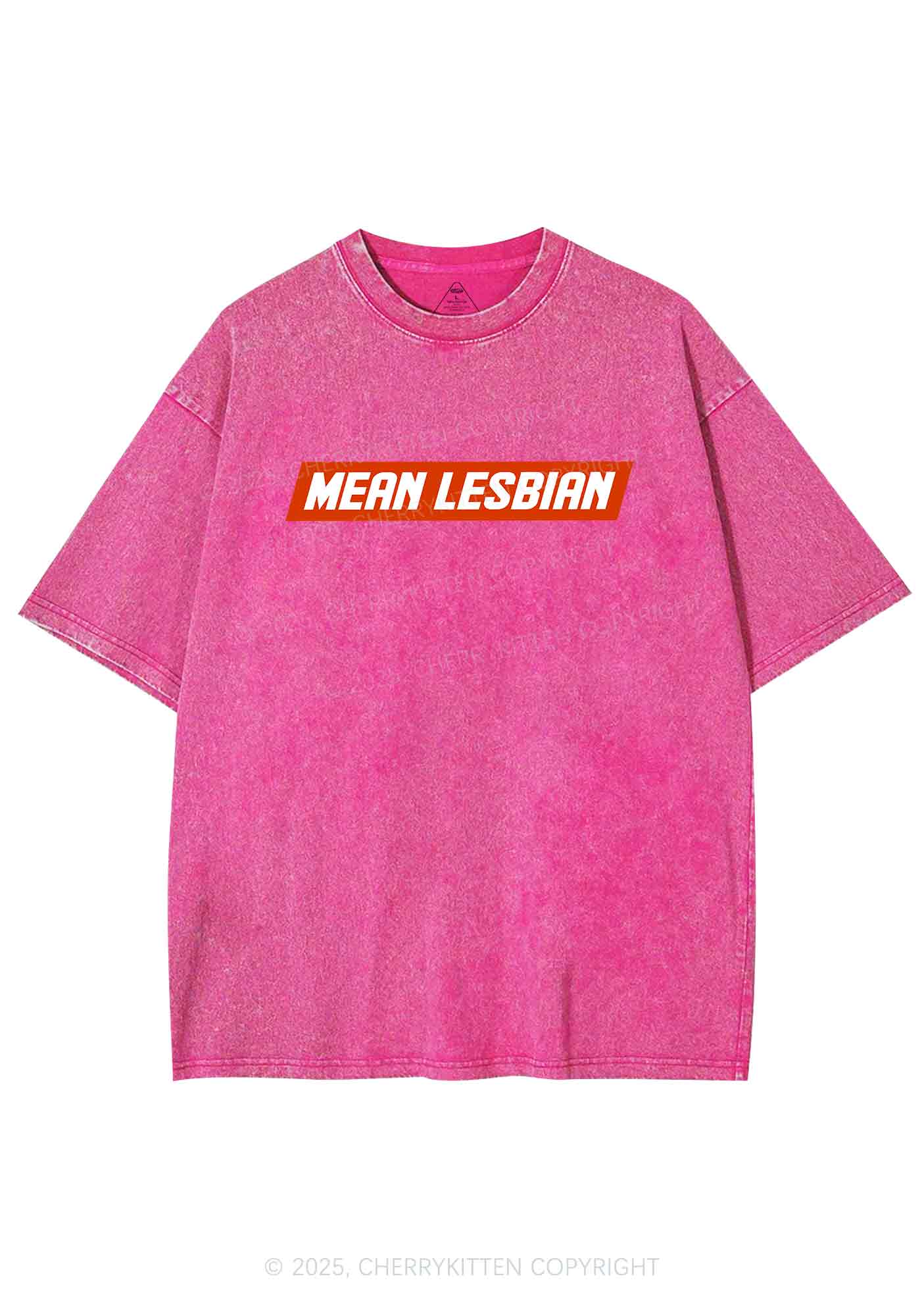 Mean Lesbian Y2K Washed Tee Cherrykitten - Image 4