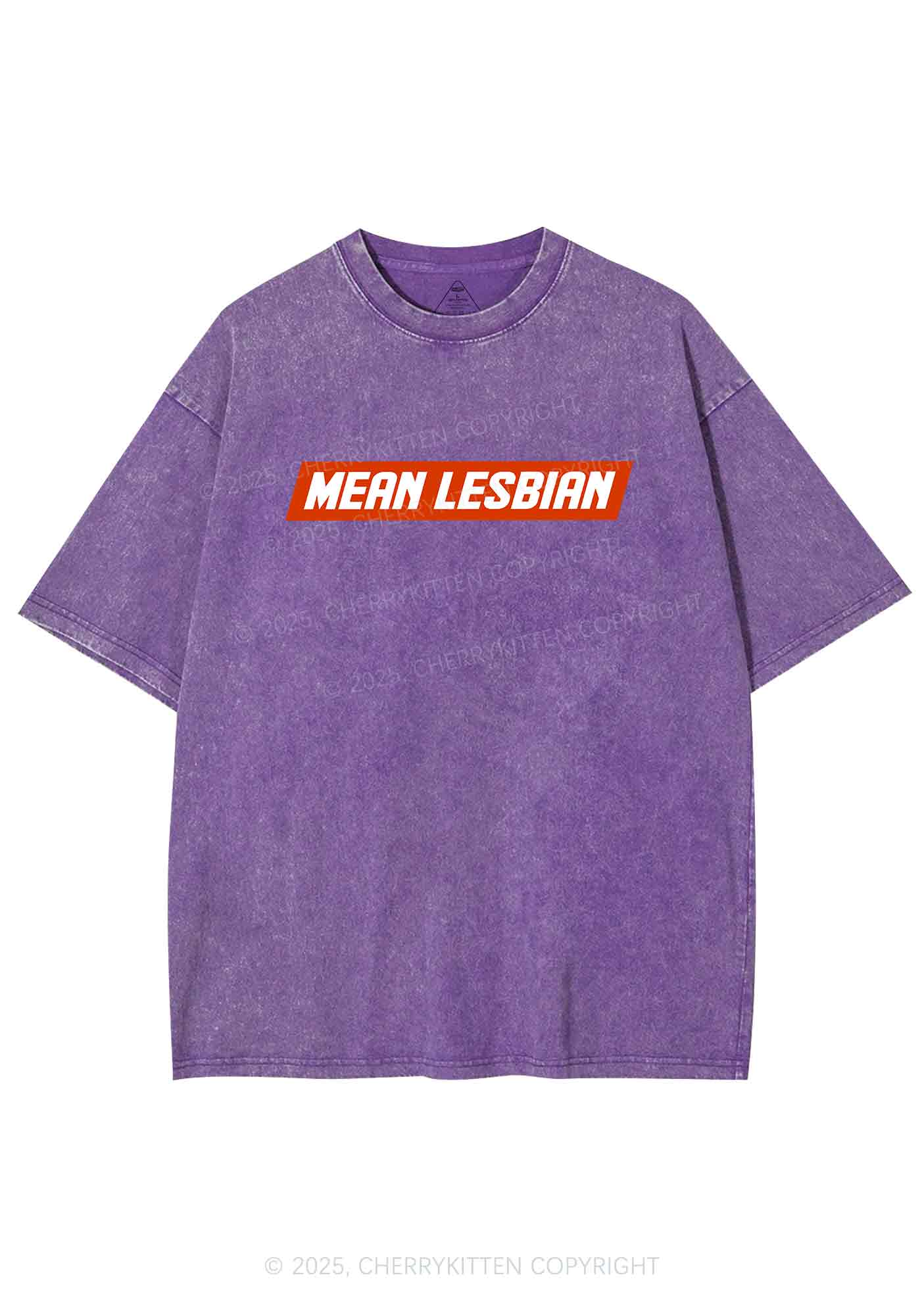 Mean Lesbian Y2K Washed Tee Cherrykitten - Image 5