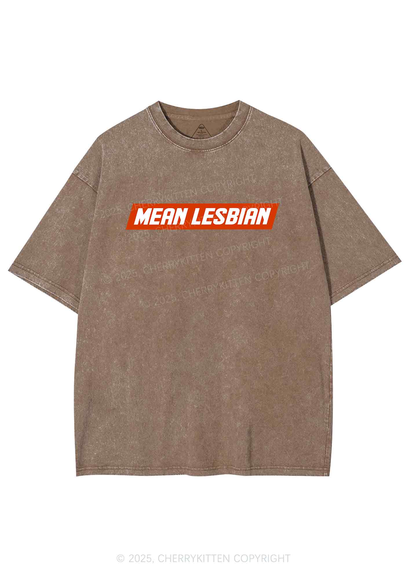 Mean Lesbian Y2K Washed Tee Cherrykitten - Image 6