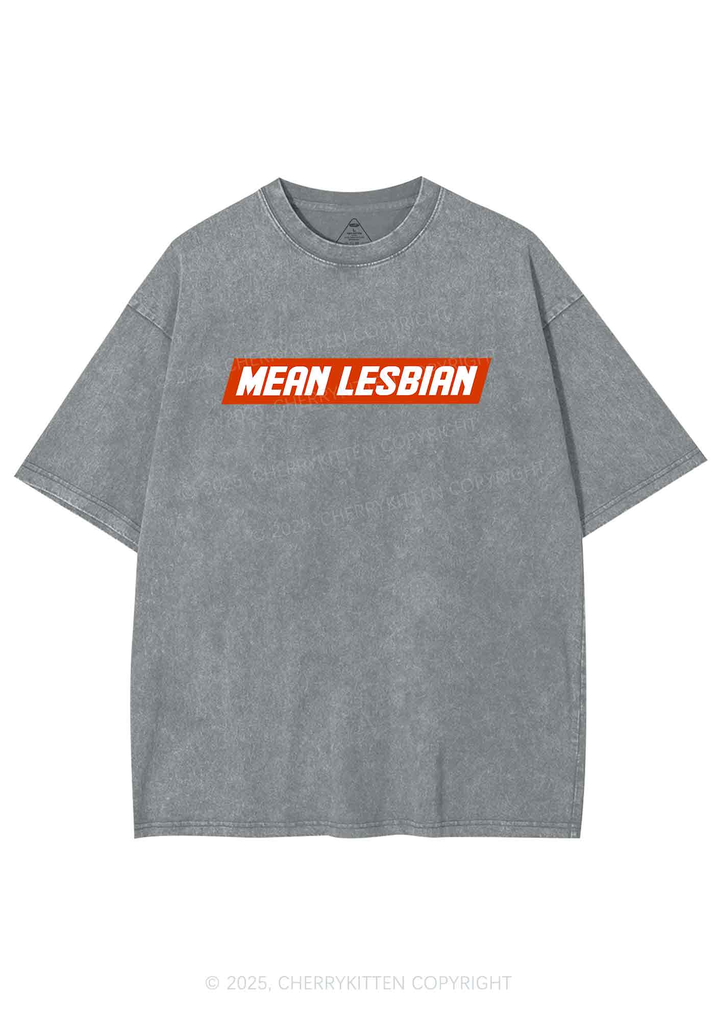 Mean Lesbian Y2K Washed Tee Cherrykitten - Image 7