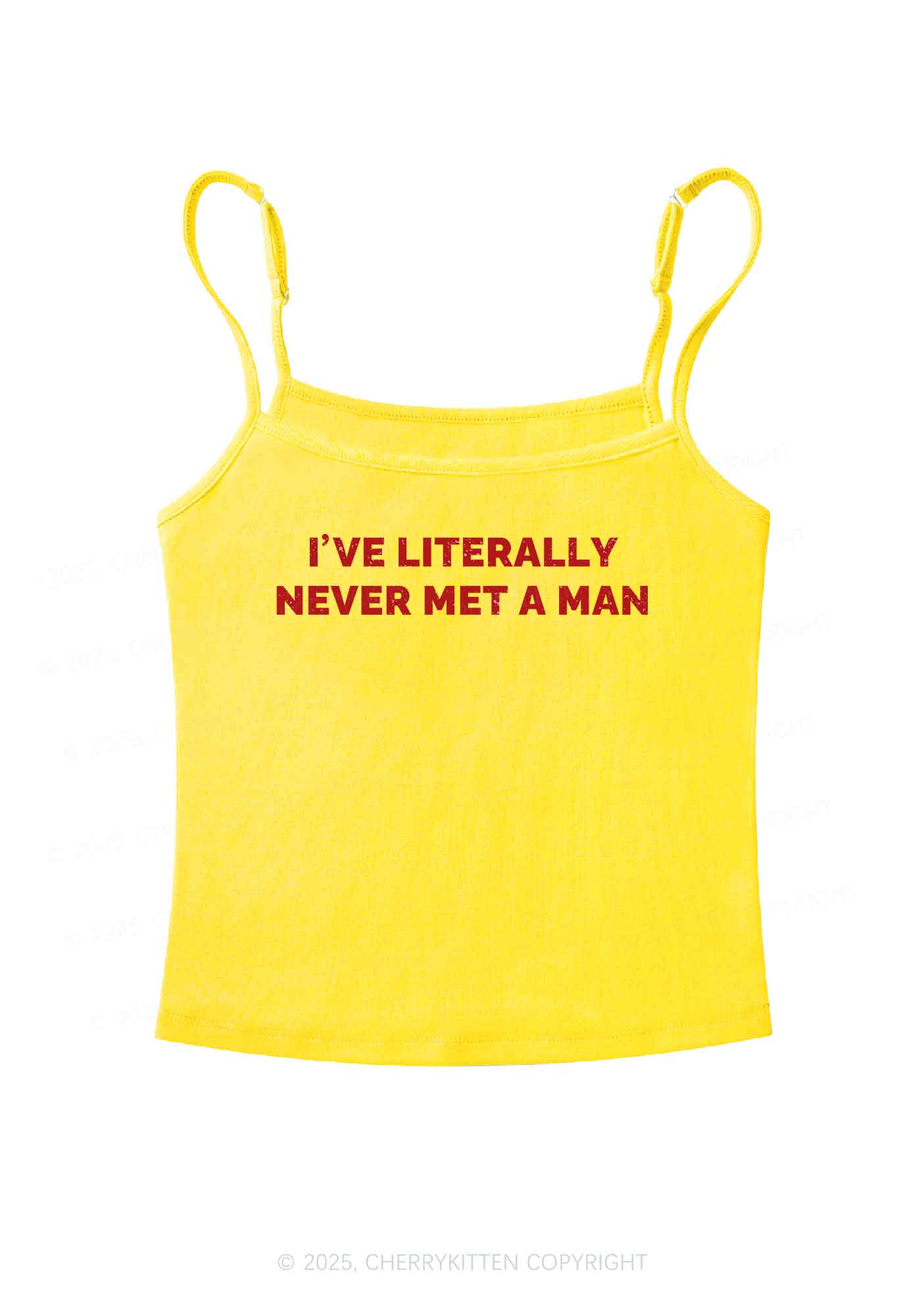 Never Met A Man Pride Y2K Spaghetti Strap Cami Cherrykitten - Image 7