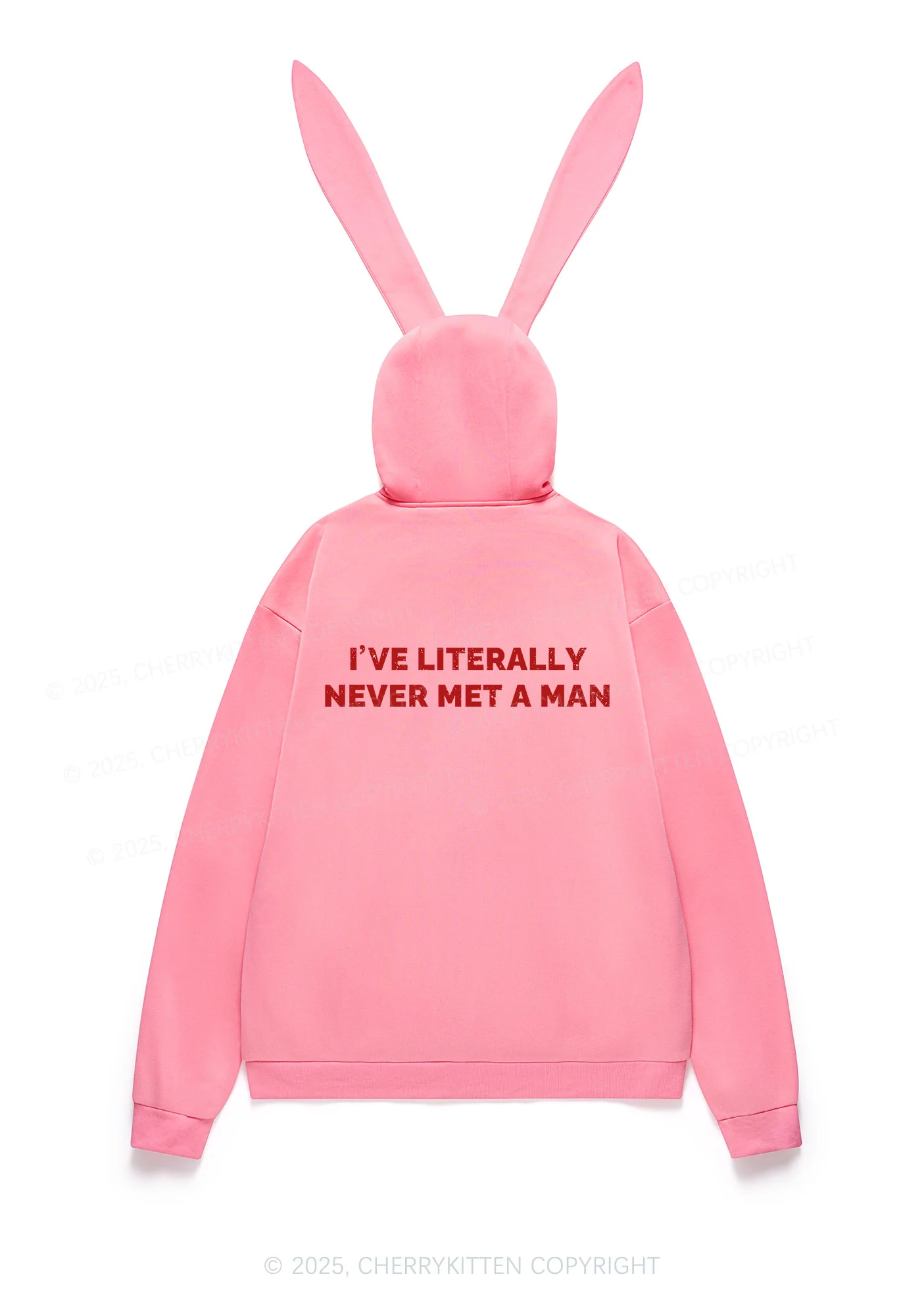 Never Met A Man Y2K Bunny Ear Zip Hoodie Cherrykitten - Image 3