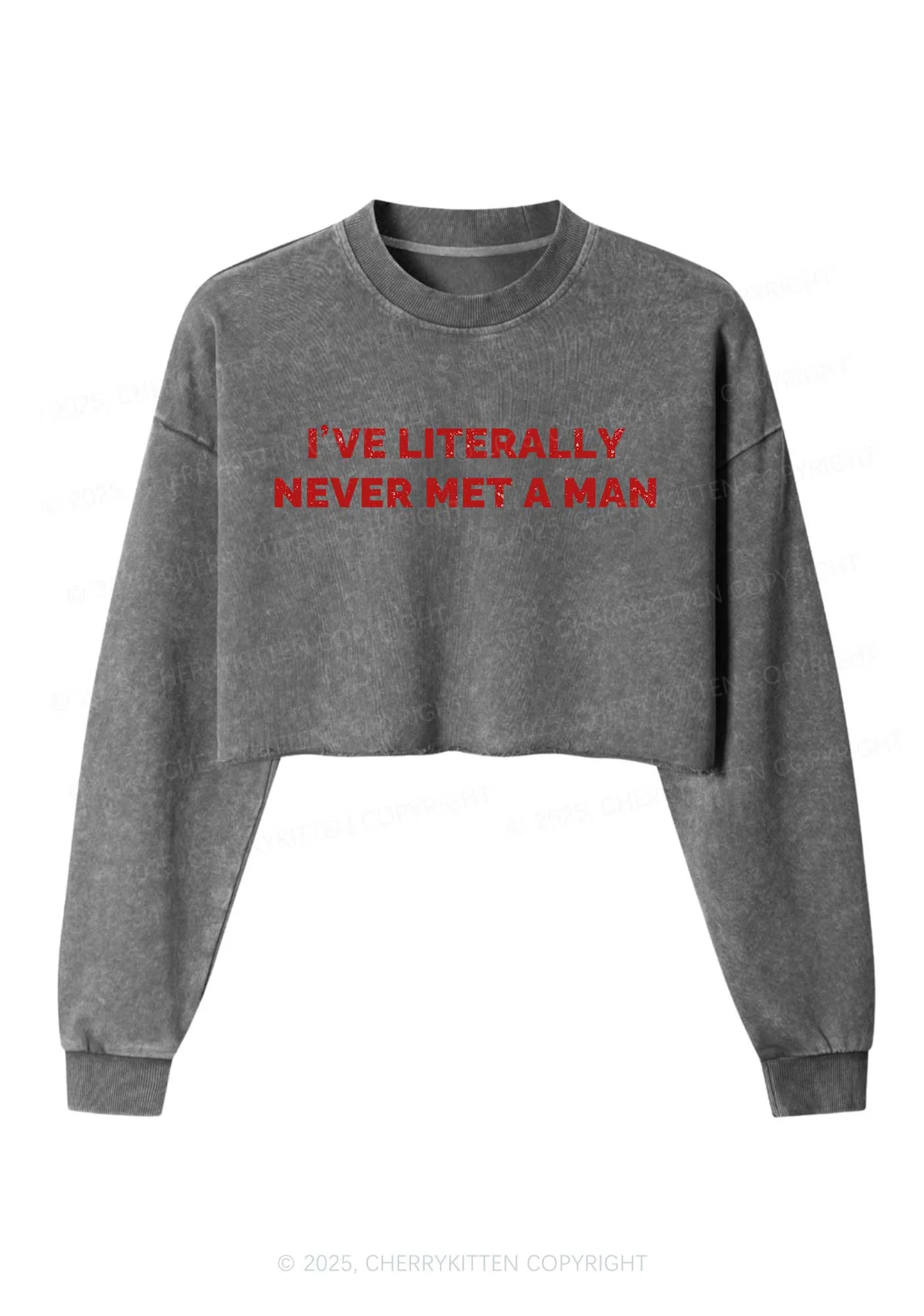 Never Met A Man Y2K Crop Washed Sweatshirts Cherrykitten - Image 4