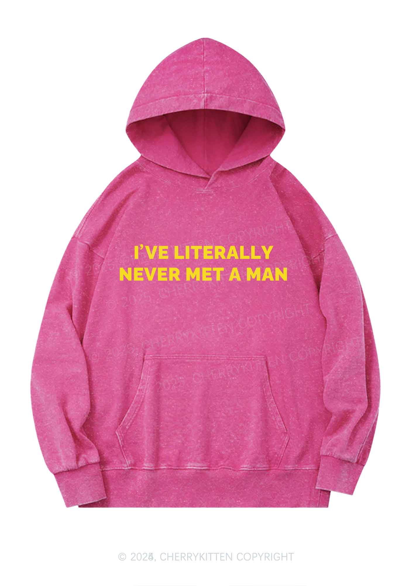 Never Met A Man Y2K Washed Hoodie Cherrykitten - Image 4