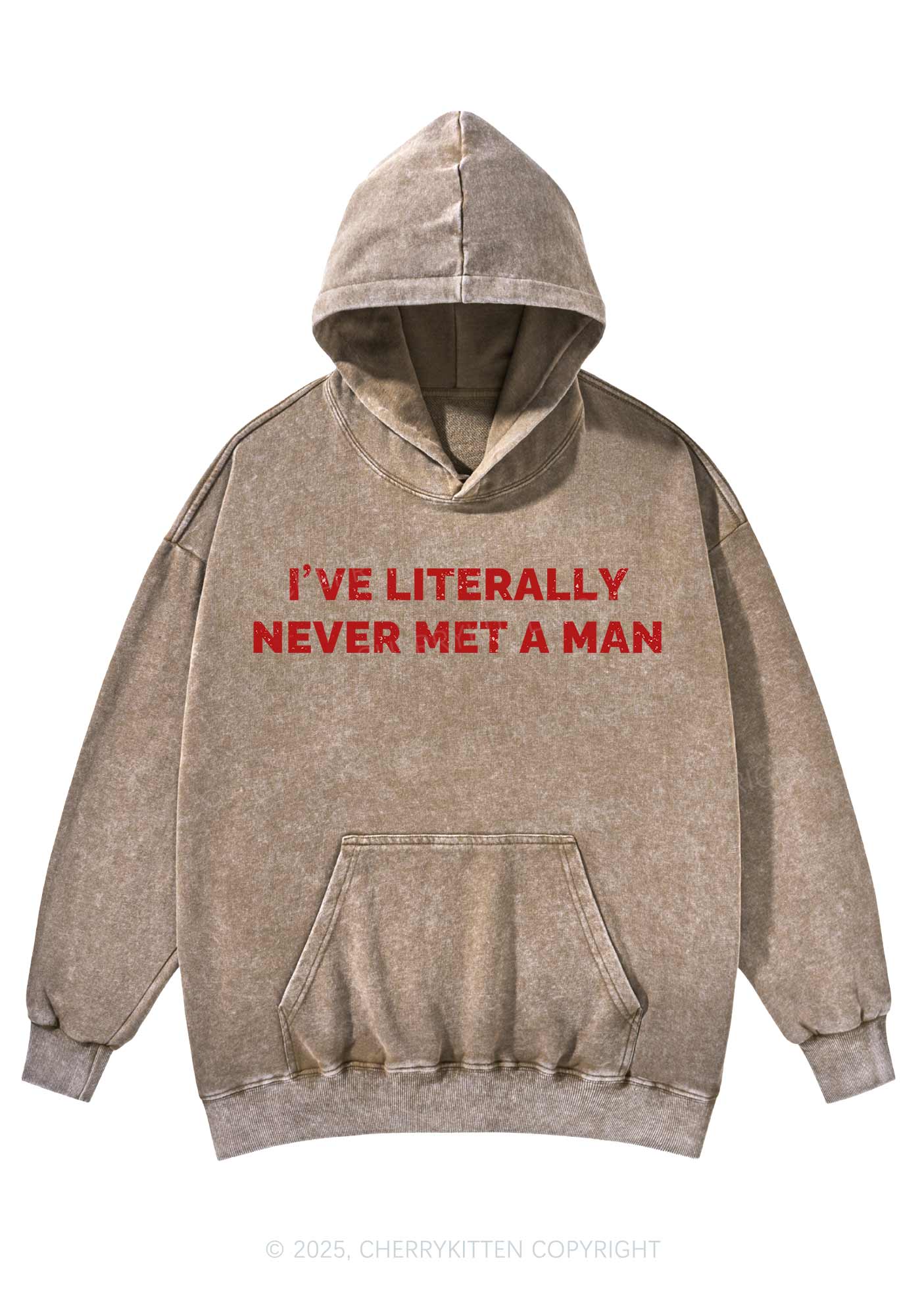 Never Met A Man Y2K Washed Hoodie Cherrykitten - Image 5