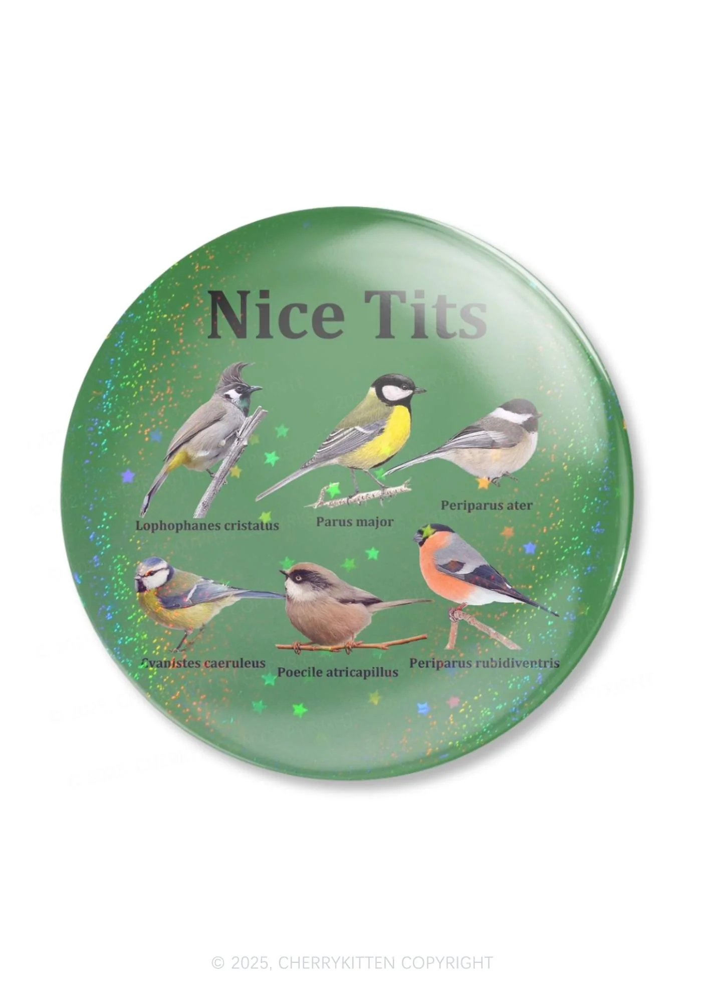 Nice Txts Category 1Pc Y2K Pin Badge Cherrykitten - Image 3