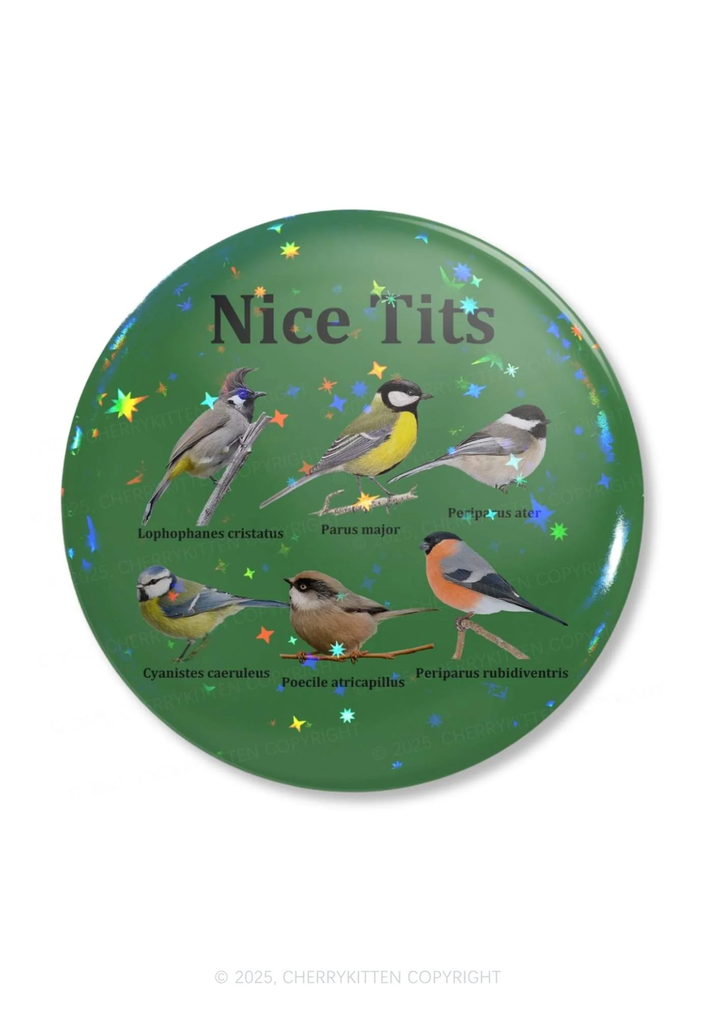 Nice Txts Category 1Pc Y2K Pin Badge Cherrykitten - Image 4