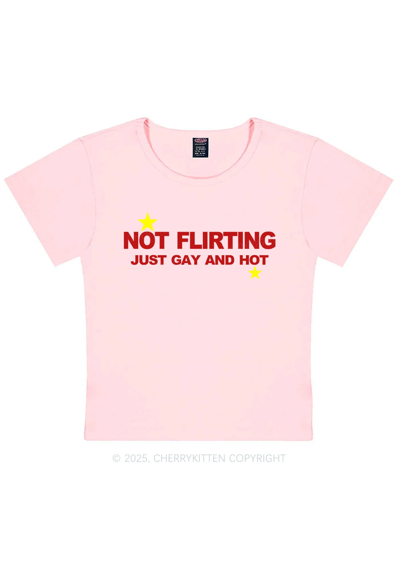 Not Flirting Pride Y2K Baby Tee Cherrykitten - Image 10