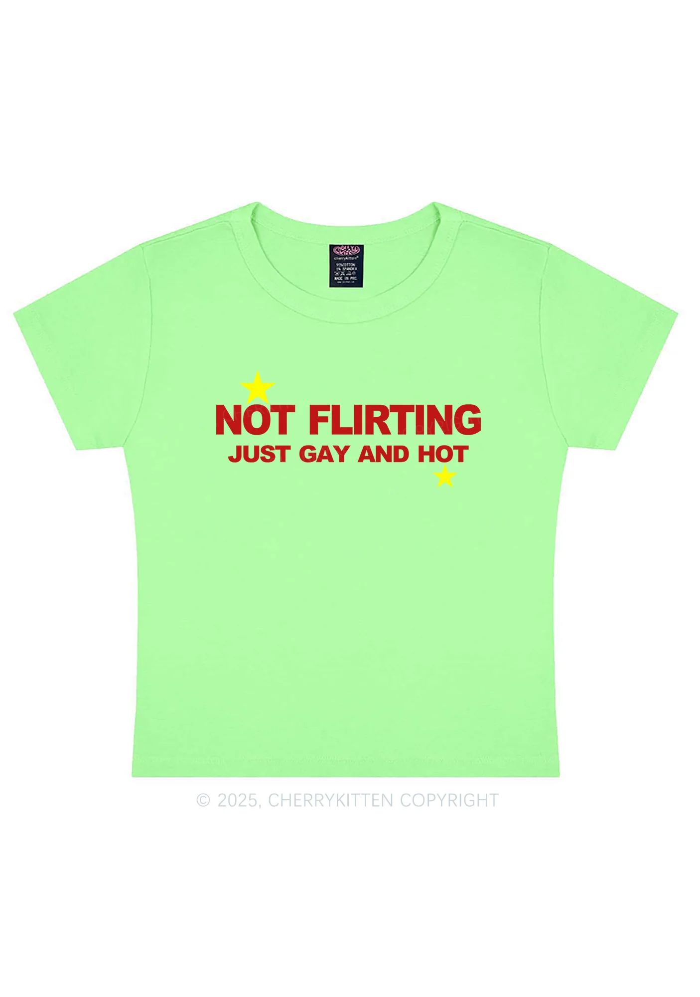 Not Flirting Pride Y2K Baby Tee Cherrykitten - Image 11