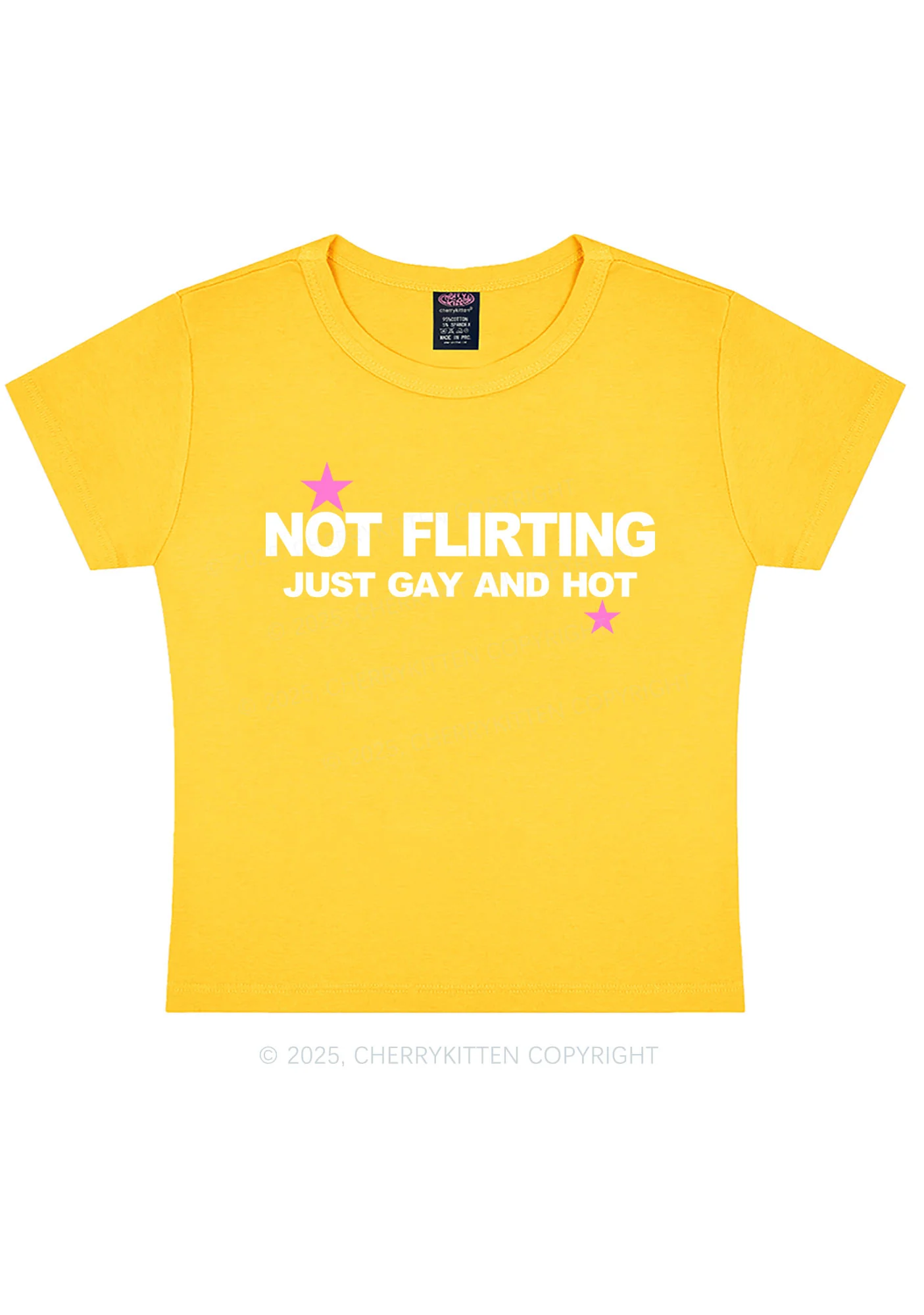 Not Flirting Pride Y2K Baby Tee Cherrykitten - Image 12
