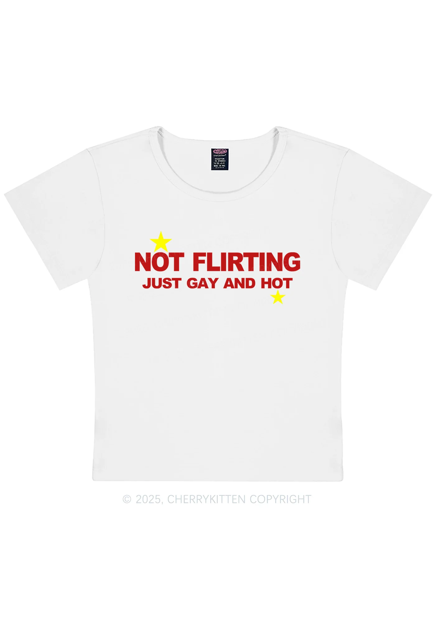 Not Flirting Pride Y2K Baby Tee Cherrykitten - Image 4