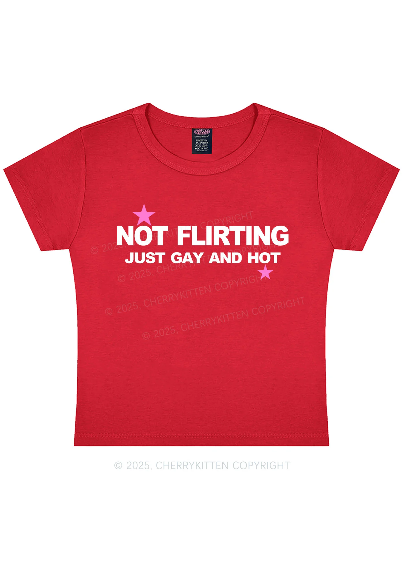 Not Flirting Pride Y2K Baby Tee Cherrykitten - Image 5