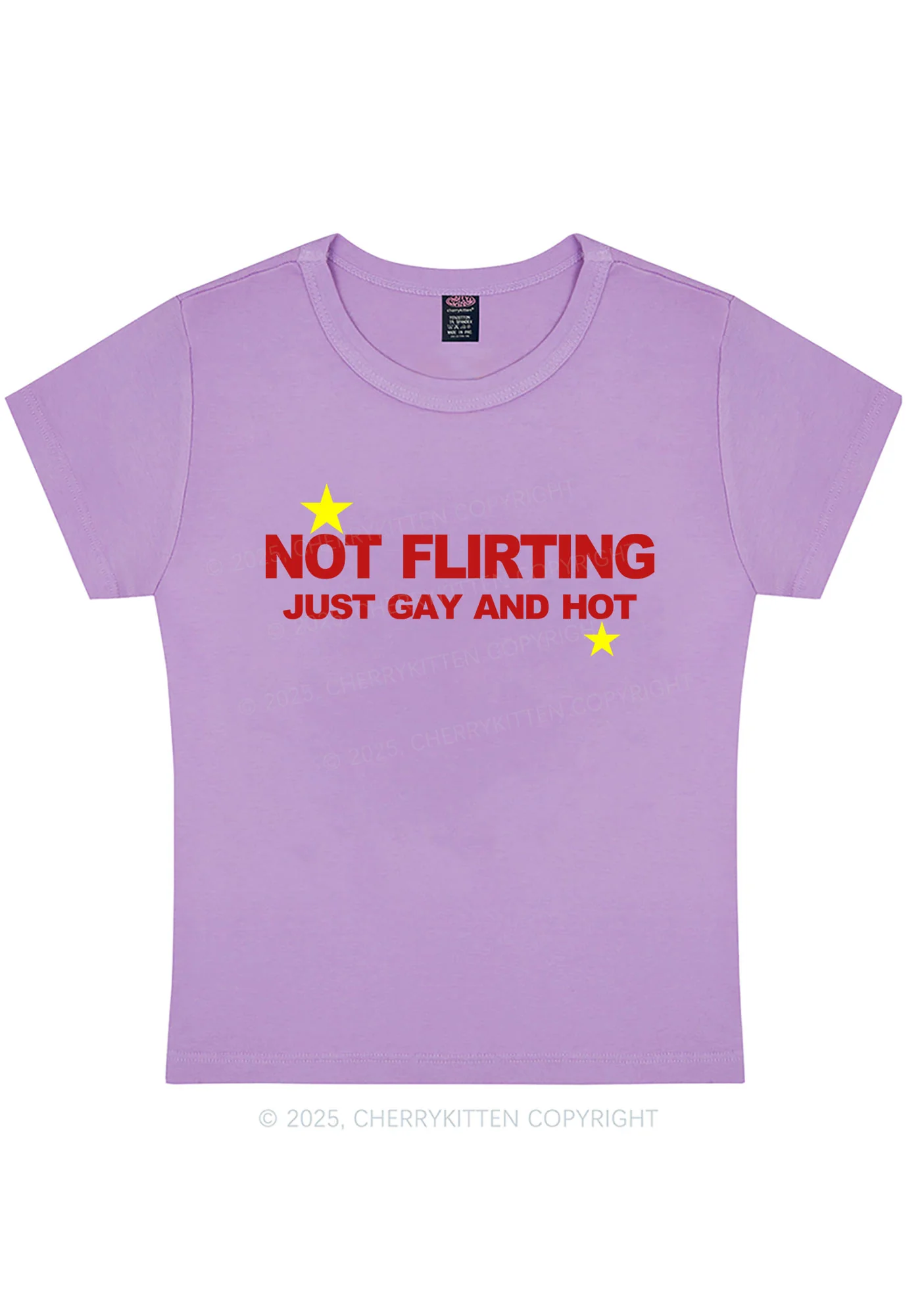 Not Flirting Pride Y2K Baby Tee Cherrykitten - Image 7