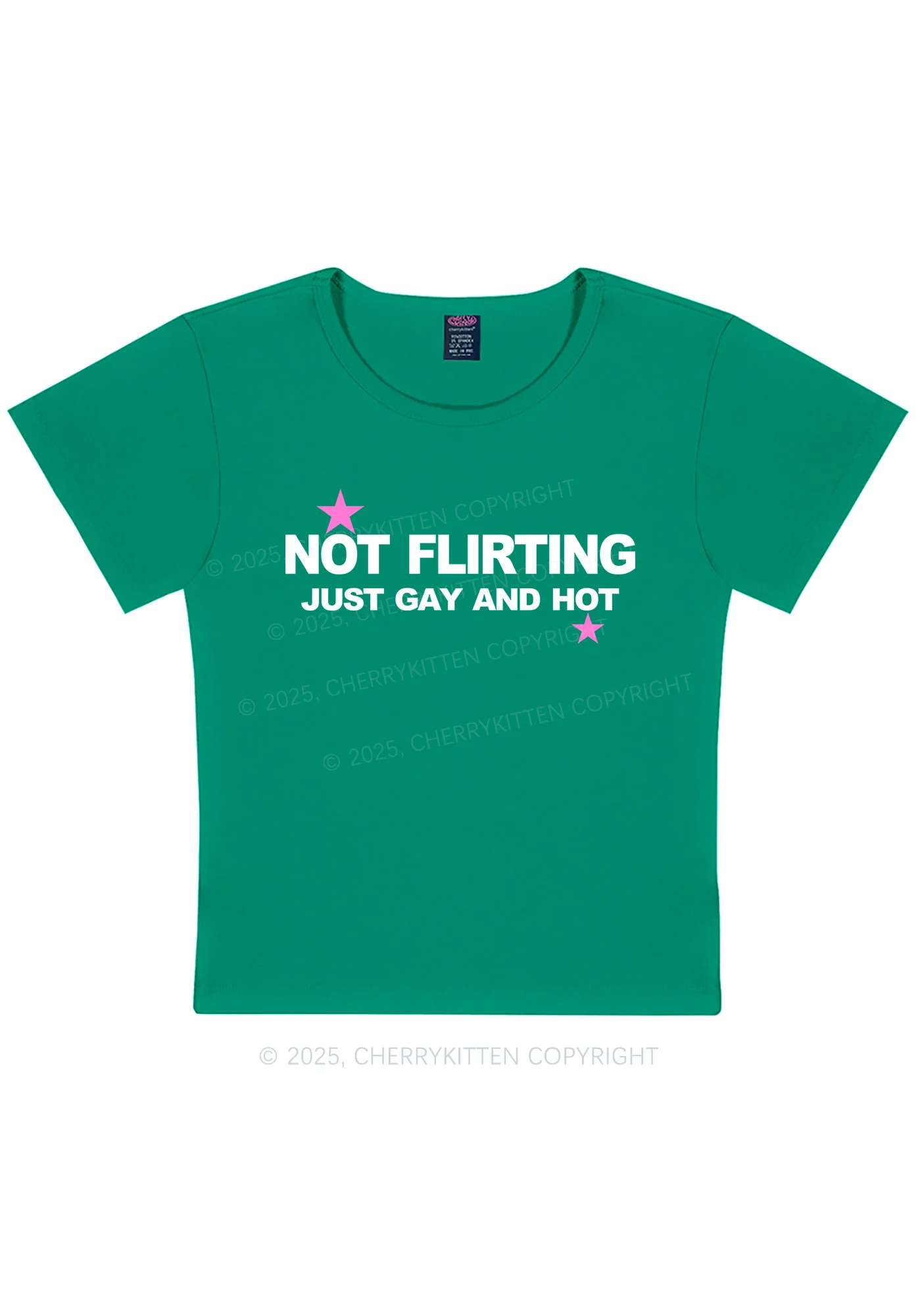 Not Flirting Pride Y2K Baby Tee Cherrykitten - Image 9