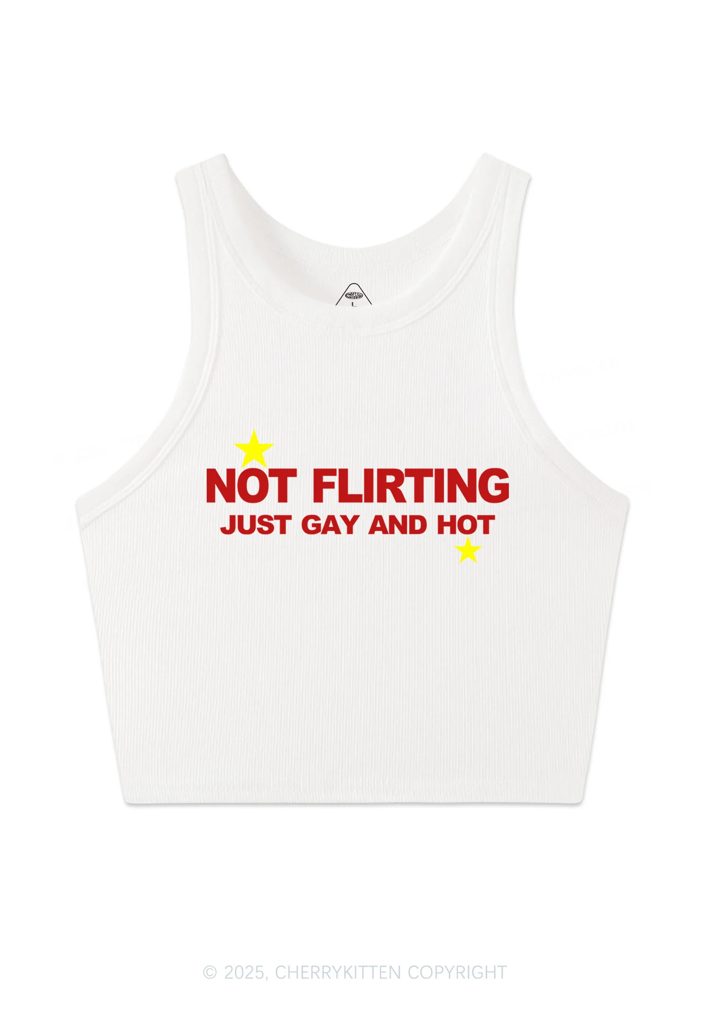 Not Flirting Pride Y2K Crop Tank Top Cherrykitten - Image 4