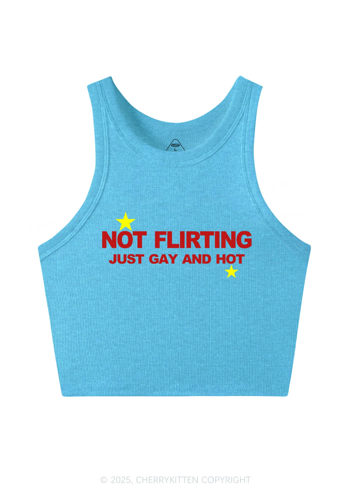 Not Flirting Pride Y2K Crop Tank Top Cherrykitten - Image 5