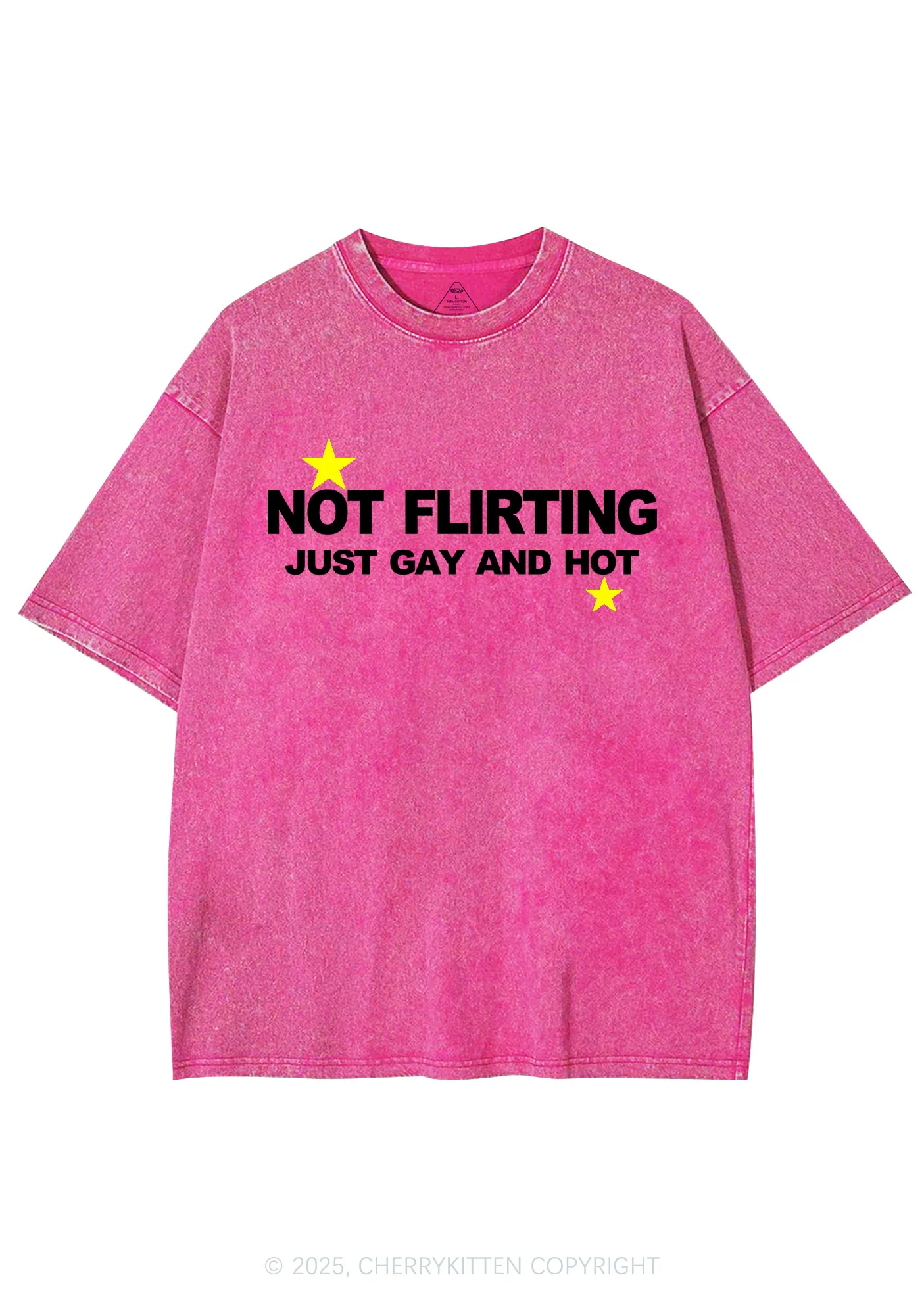 Not Flirting Y2K Shirts Washed Tee Cherrykitten - Image 3