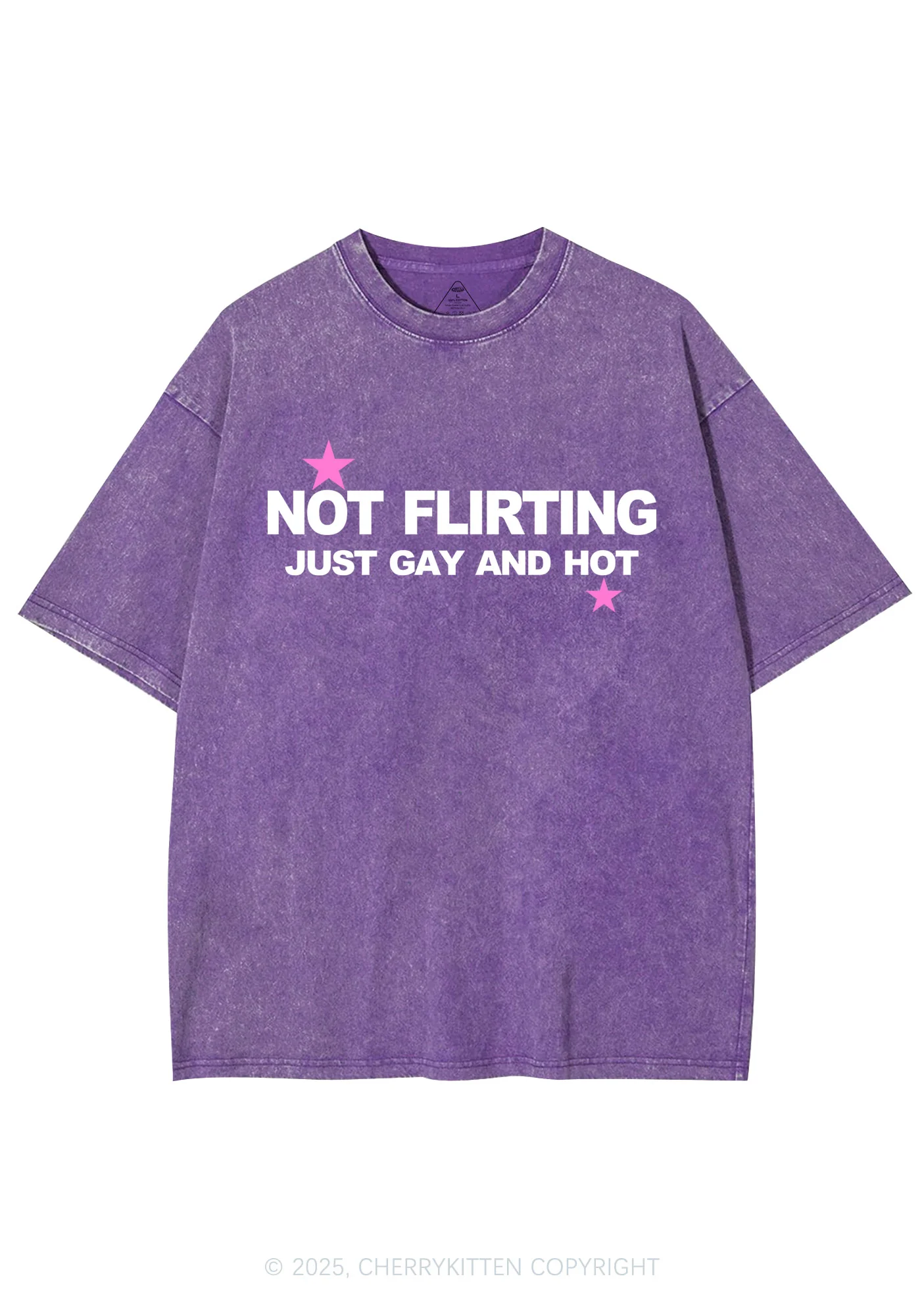 Not Flirting Y2K Shirts Washed Tee Cherrykitten - Image 4