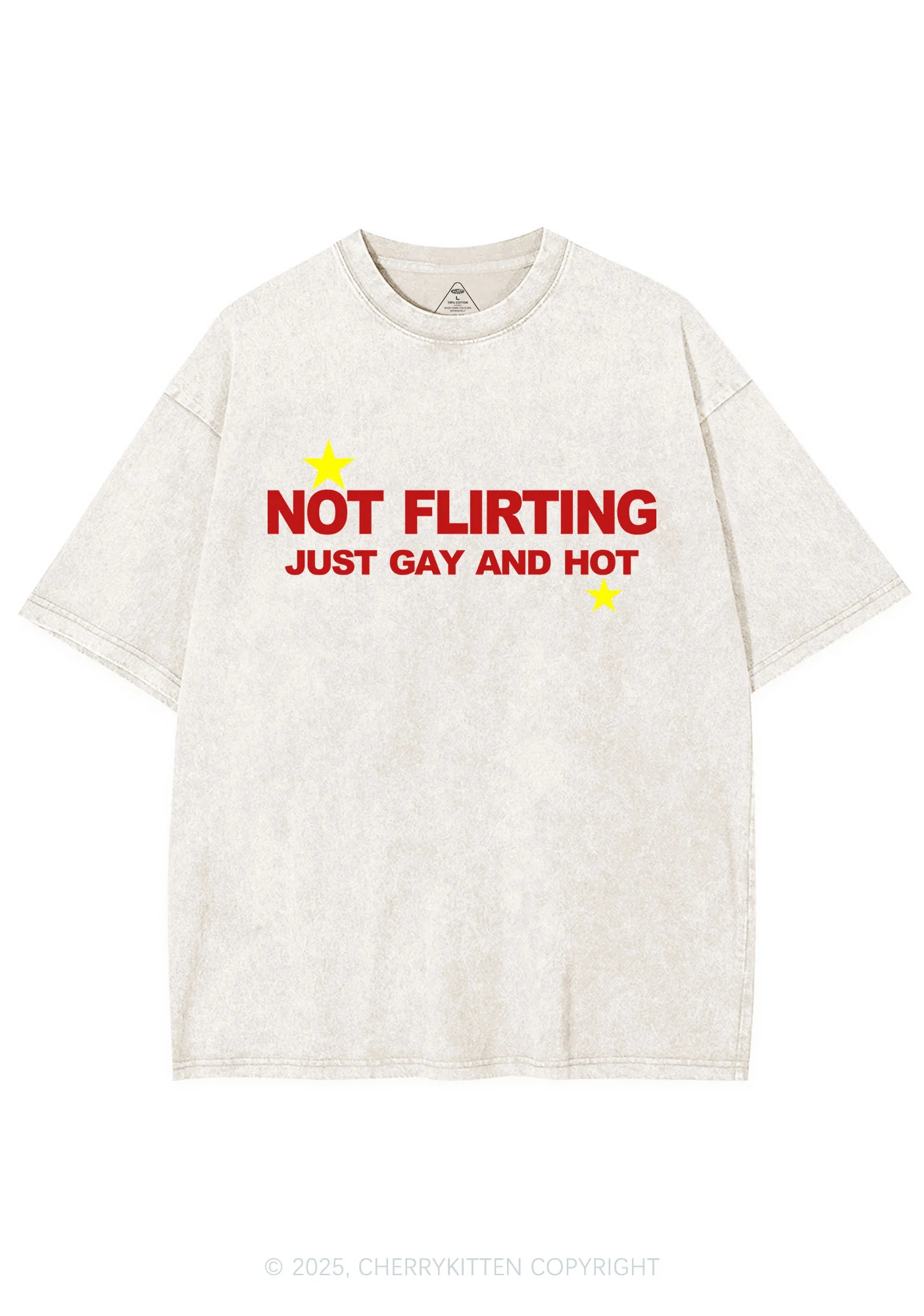 Not Flirting Y2K Shirts Washed Tee Cherrykitten - Image 5
