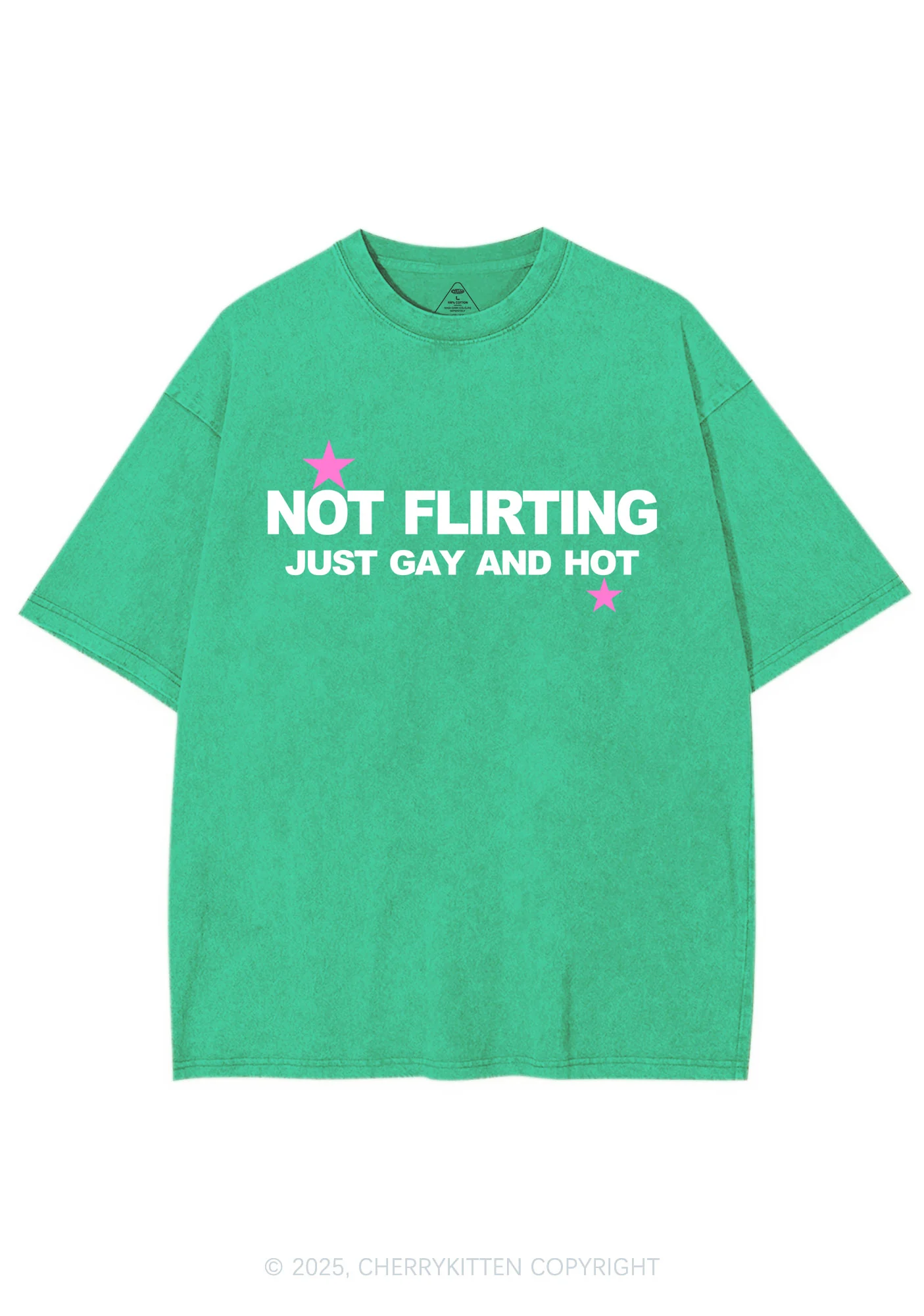Not Flirting Y2K Shirts Washed Tee Cherrykitten - Image 6