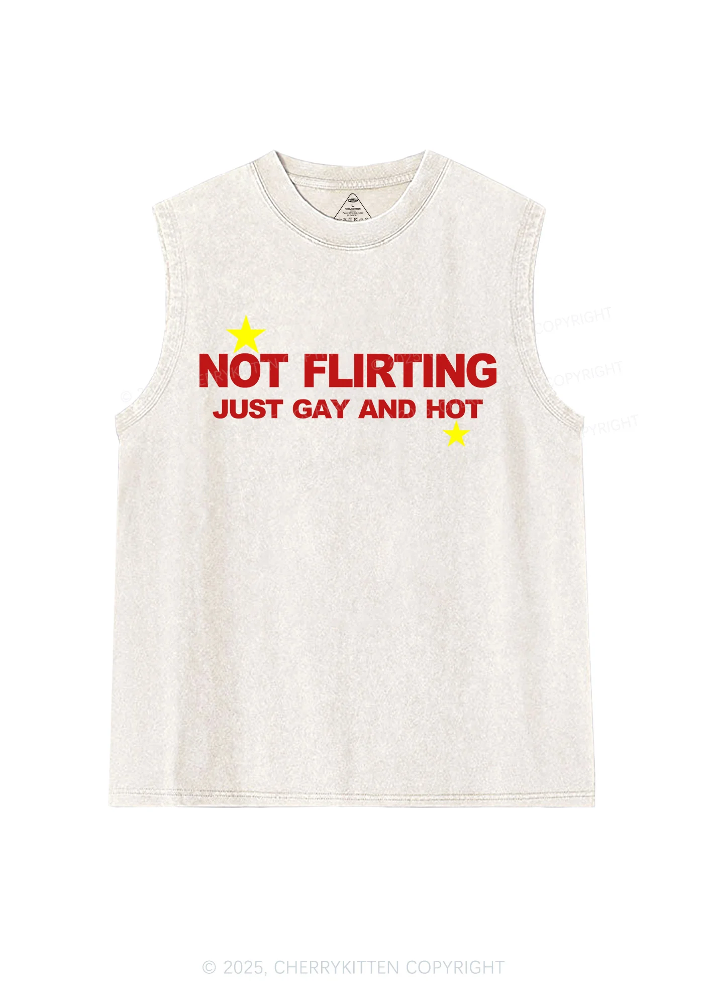 Not Flirting Pride Y2K Washed Muscle Tank Cherrykitten - Image 3