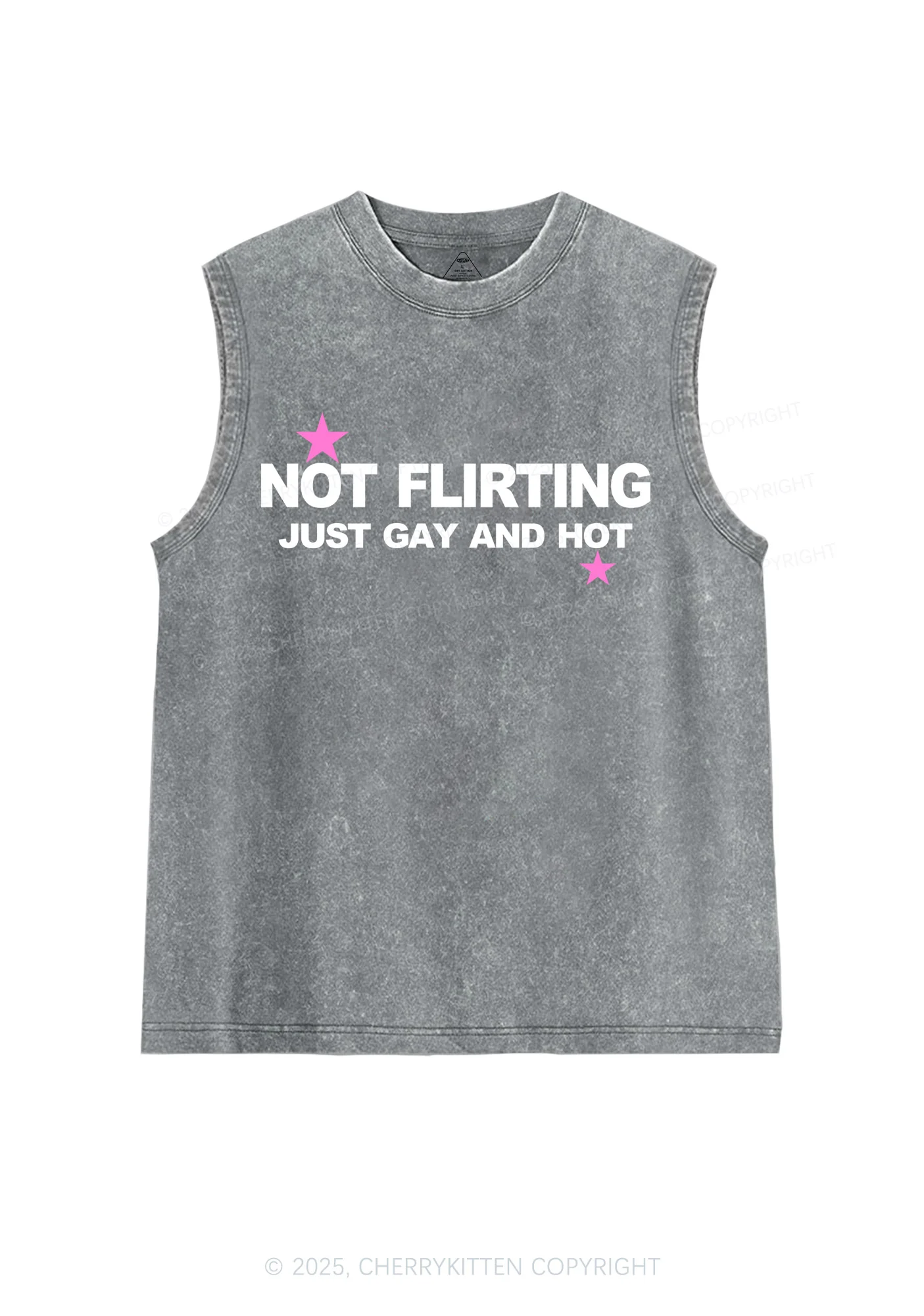 Not Flirting Pride Y2K Washed Muscle Tank Cherrykitten - Image 5