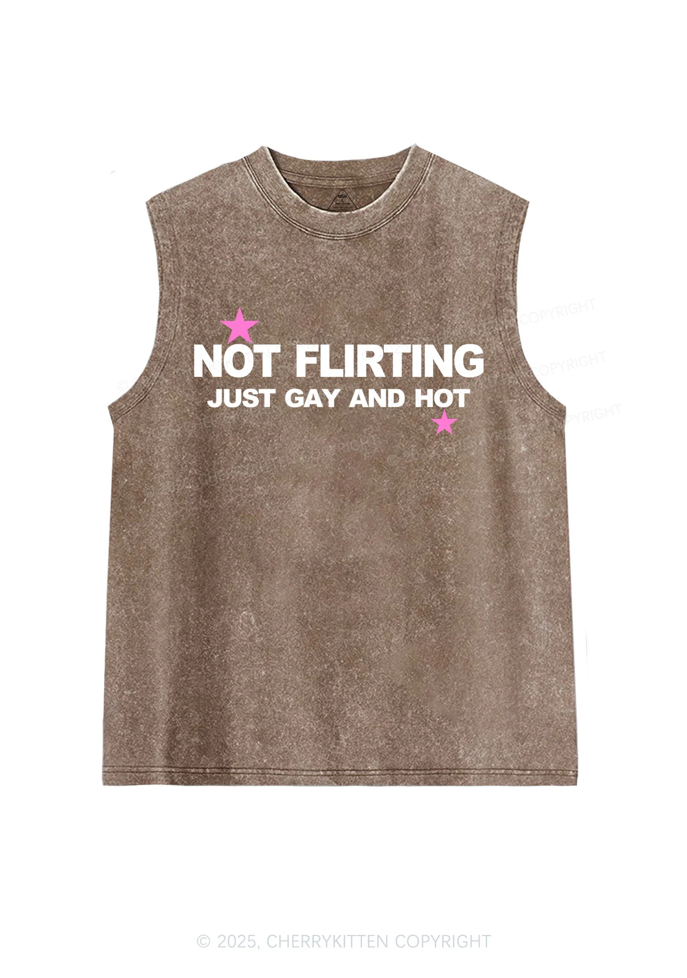 Not Flirting Pride Y2K Washed Muscle Tank Cherrykitten - Image 6