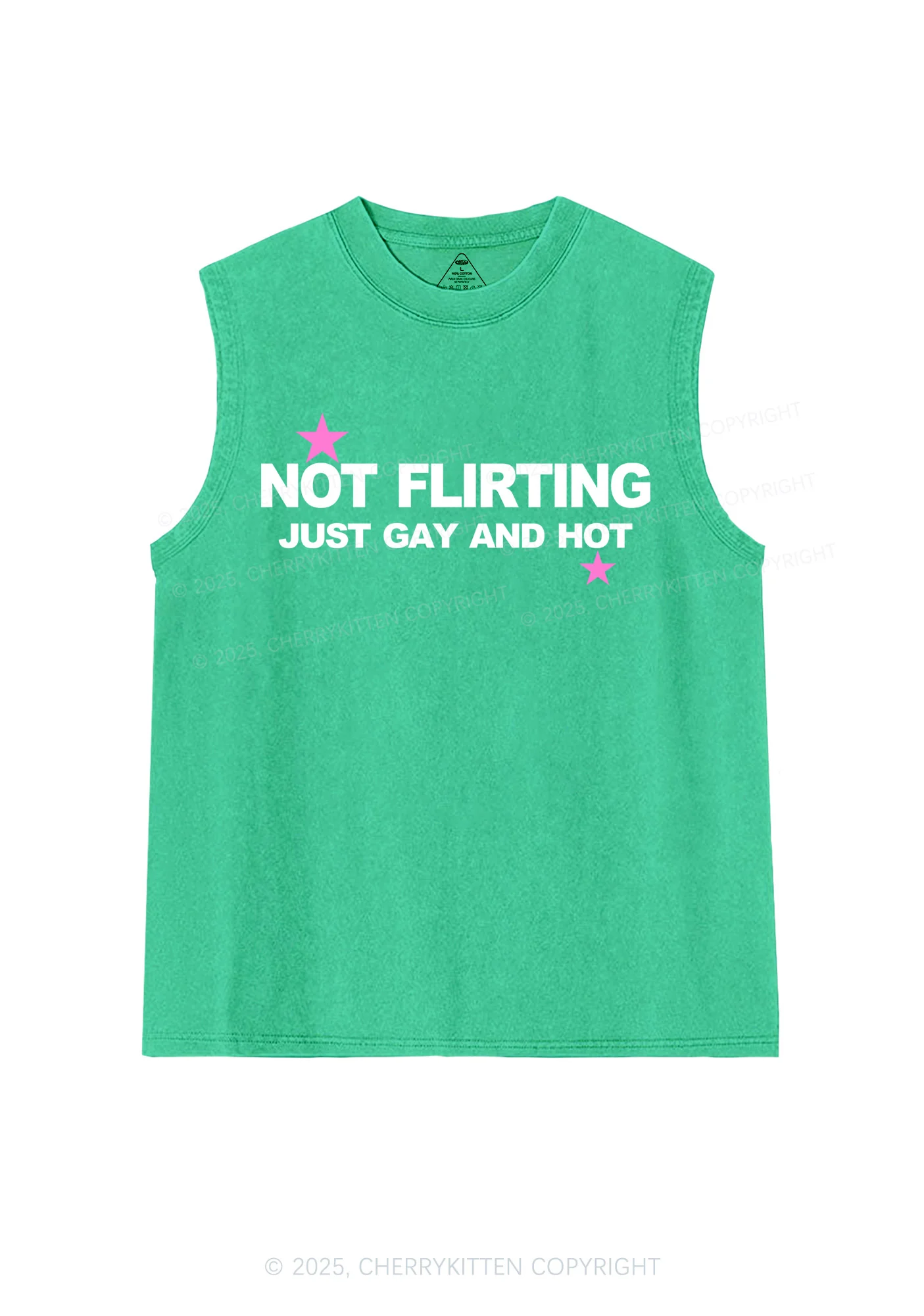 Not Flirting Pride Y2K Washed Muscle Tank Cherrykitten - Image 7