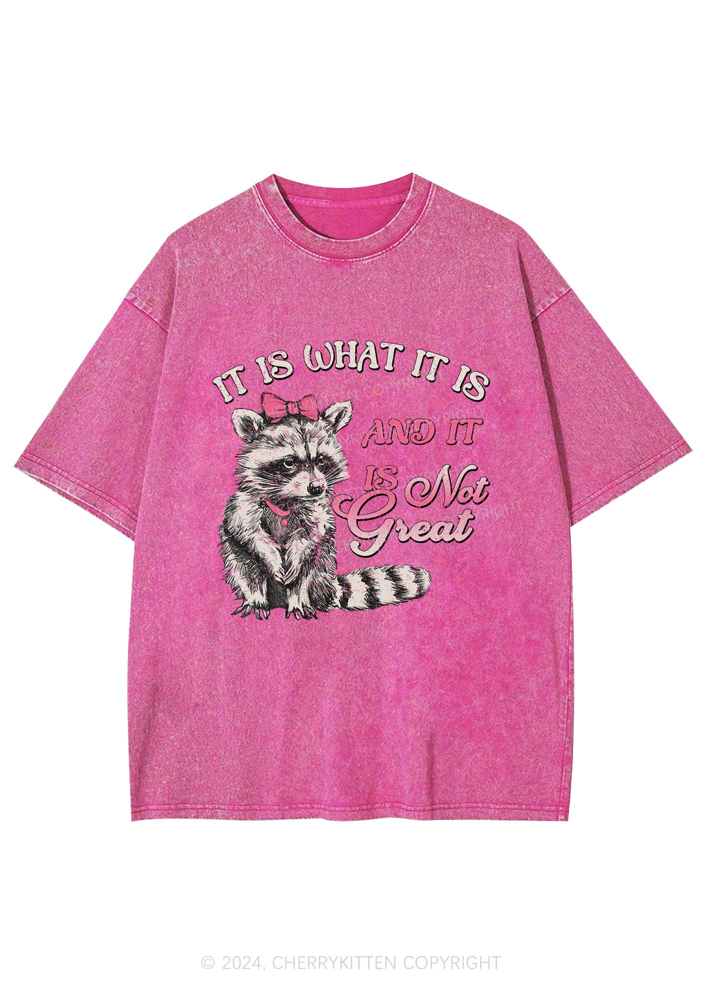 Not Great Raccoon Y2K Washed Tee Cherrykitten - Image 4