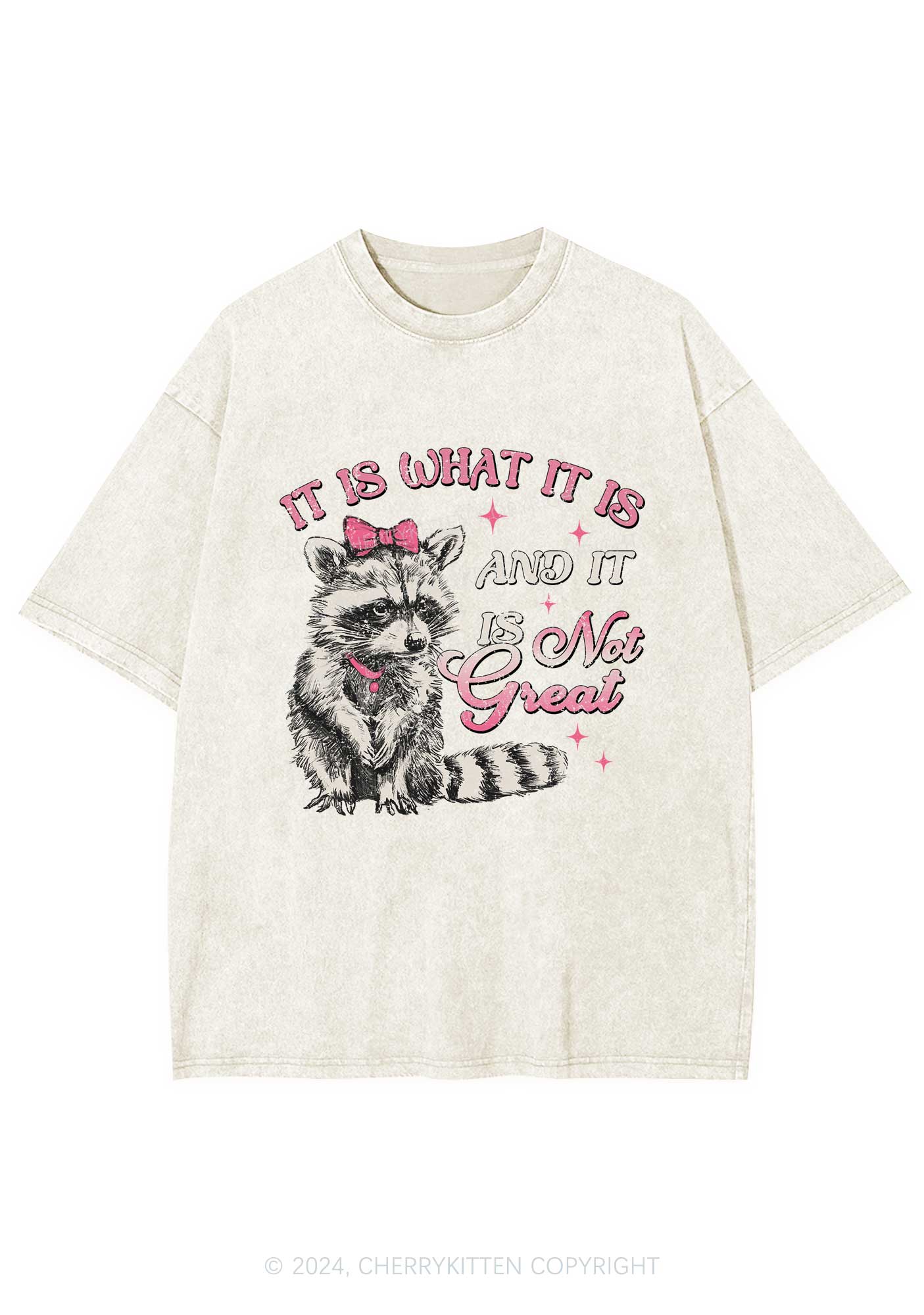 Not Great Raccoon Y2K Washed Tee Cherrykitten - Image 5