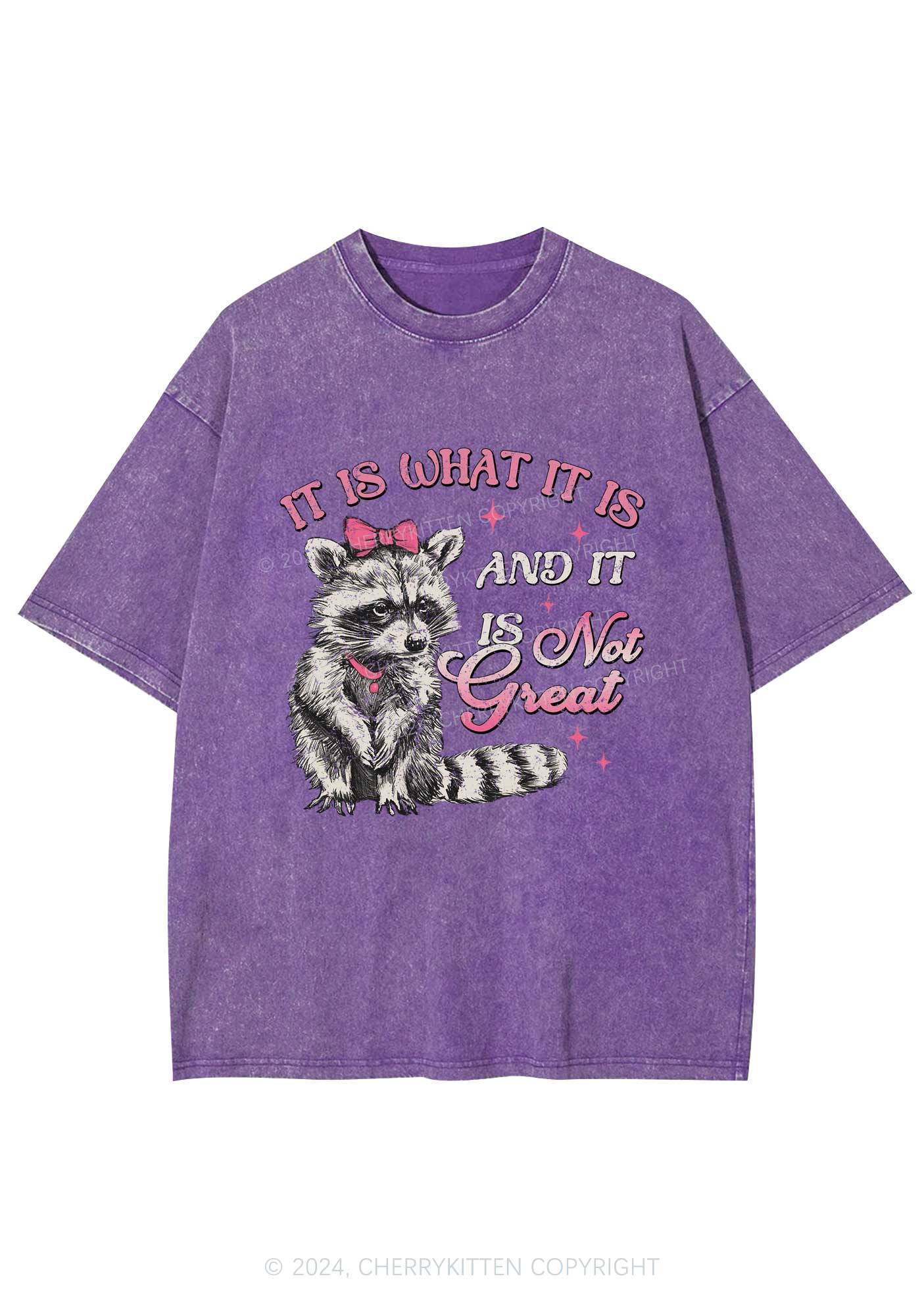Not Great Raccoon Y2K Washed Tee Cherrykitten - Image 6