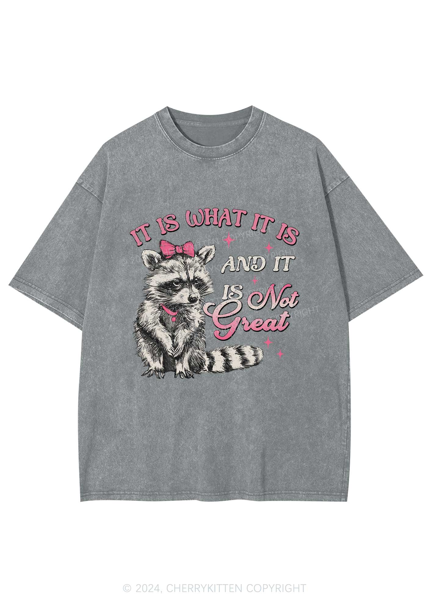 Not Great Raccoon Y2K Washed Tee Cherrykitten - Image 7