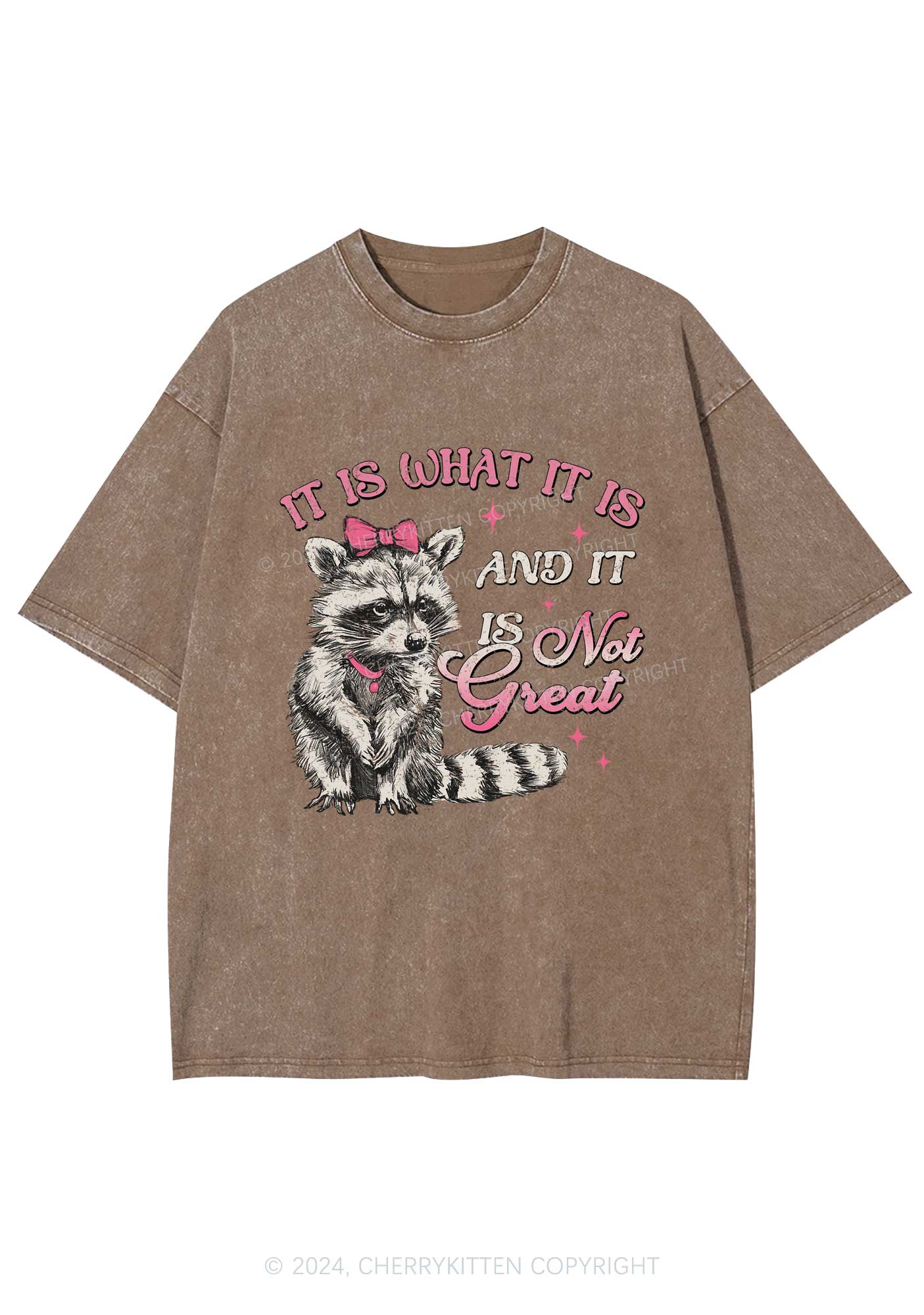 Not Great Raccoon Y2K Washed Tee Cherrykitten - Image 8