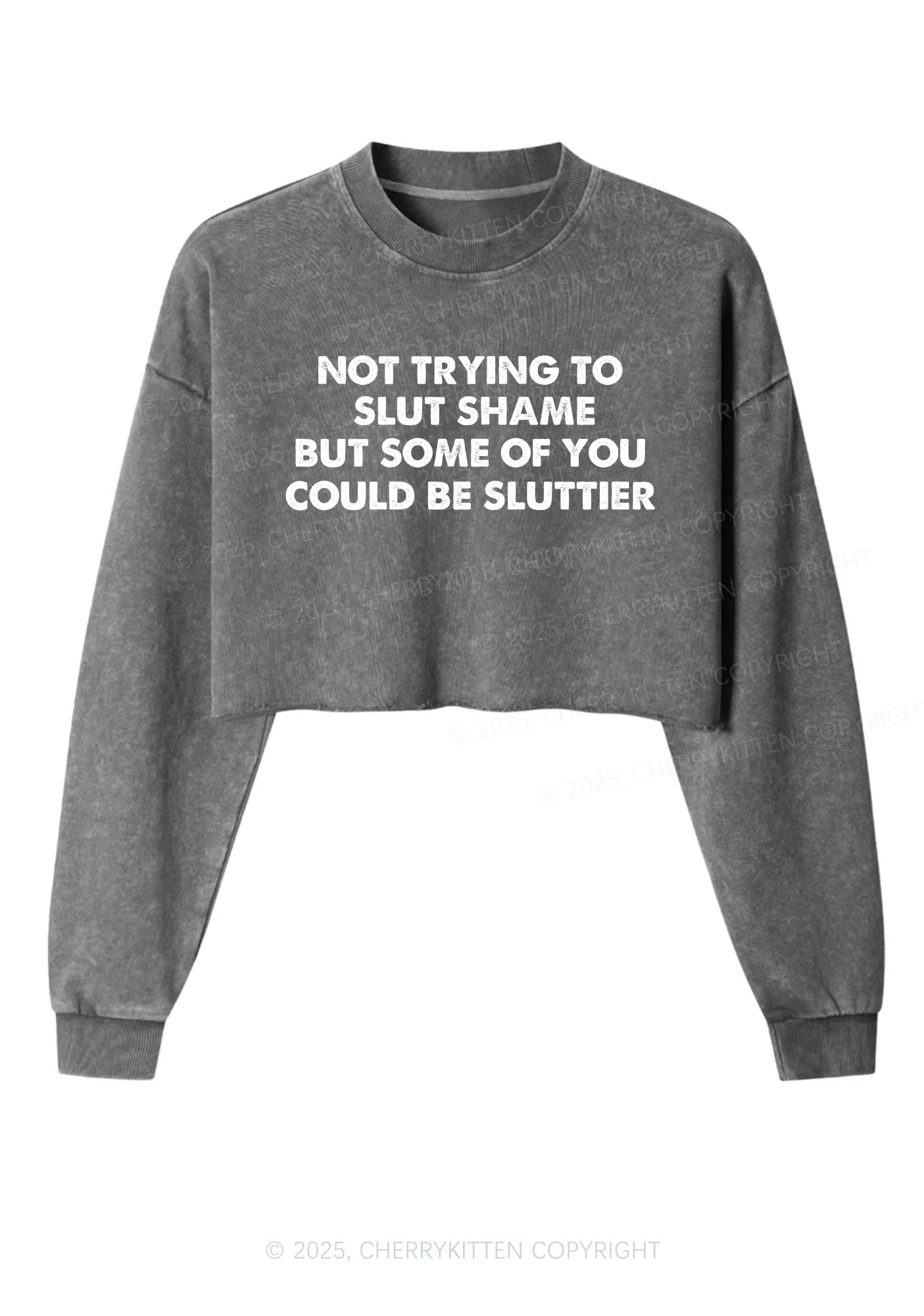 Not Trying To Slxt Shame Y2K Crop Washed Sweatshirts Cherrykitten - Image 3