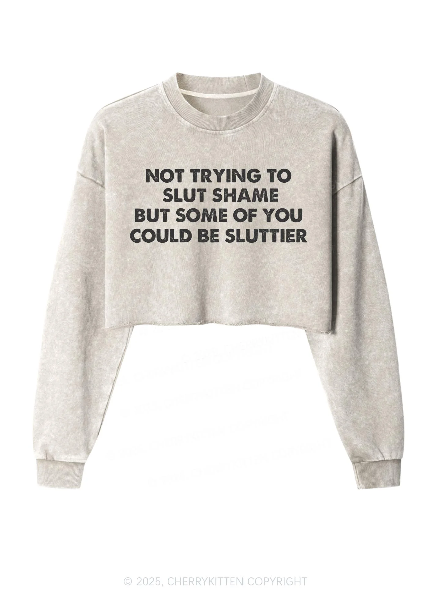 Not Trying To Slxt Shame Y2K Crop Washed Sweatshirts Cherrykitten - Image 4