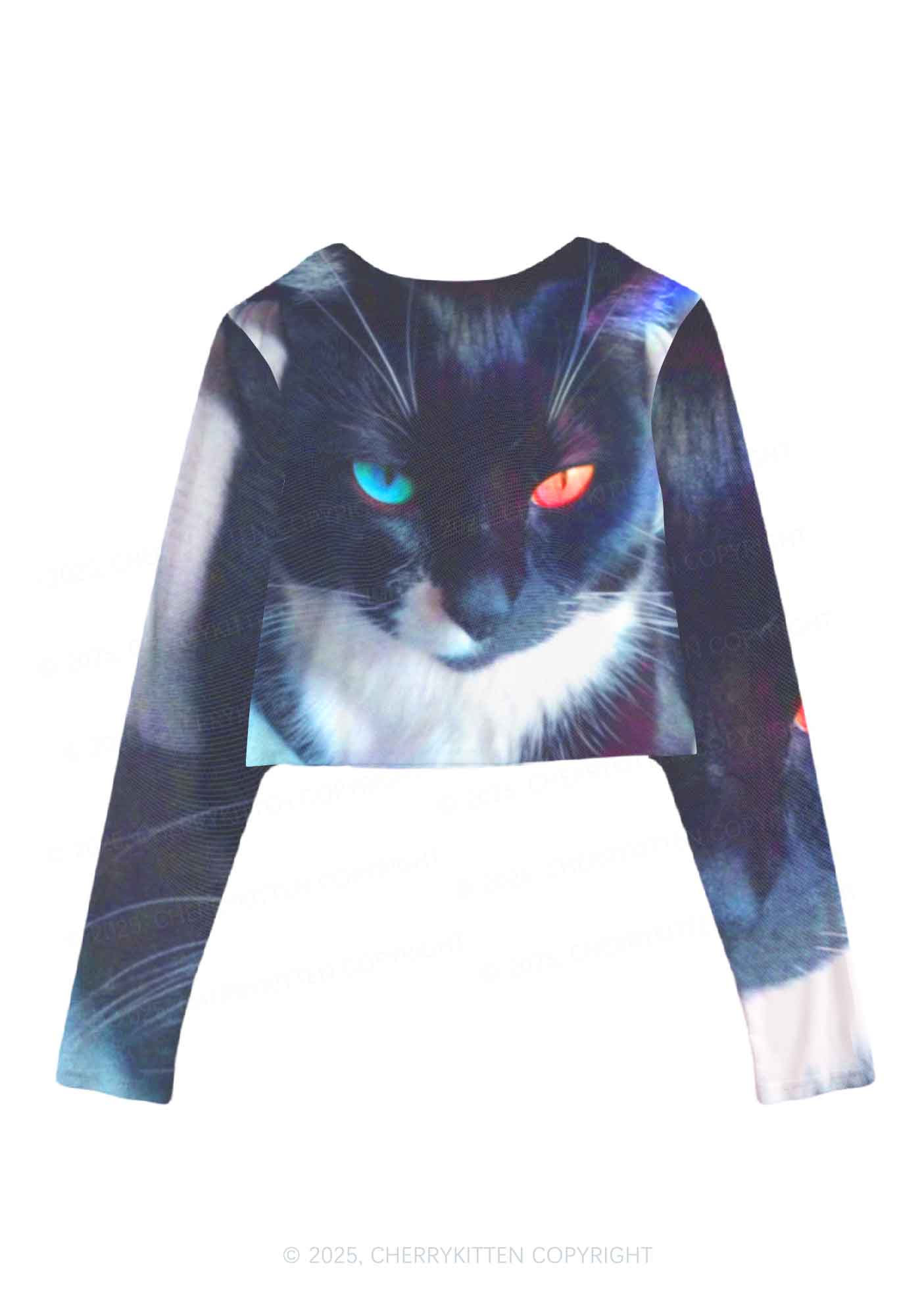 Odd Eyed Cat Y2K Mesh Long Sleeve Crop Top Cherrykitten - Image 3