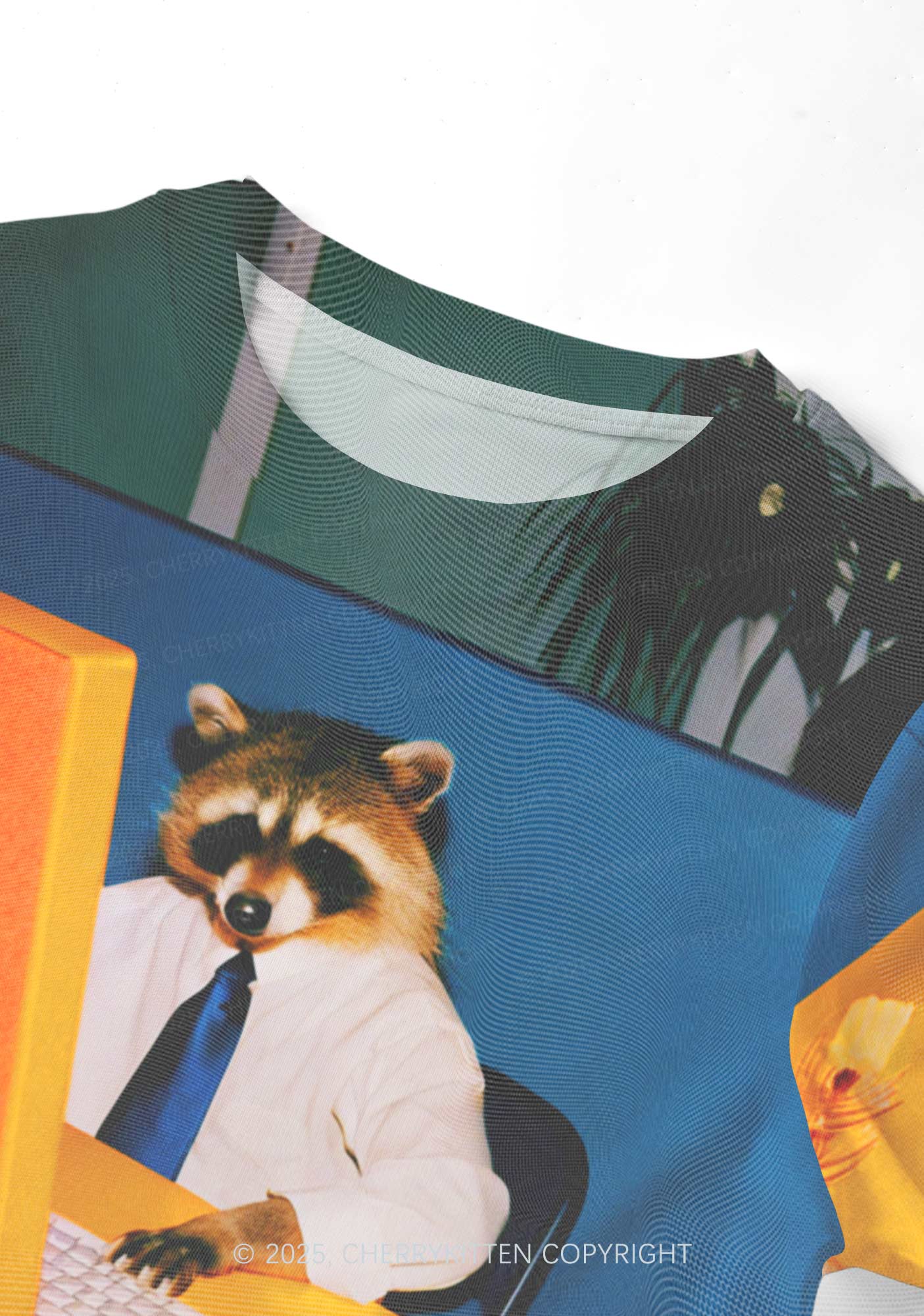Office Raccoon Y2K Mesh Crop Top Cherrykitten - Image 4