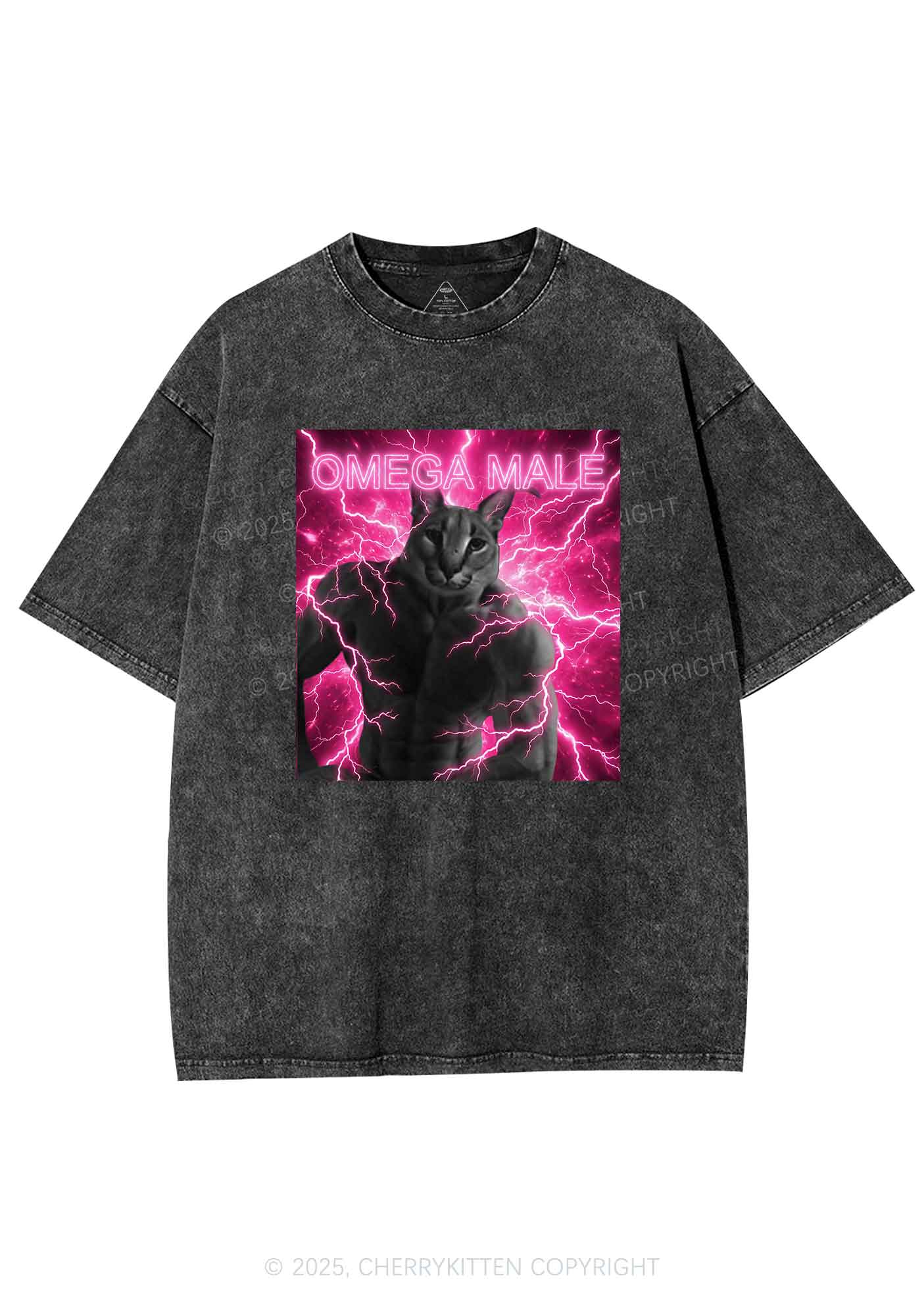 Omega Male Y2K Shirts Washed Tee Cherrykitten - Image 4
