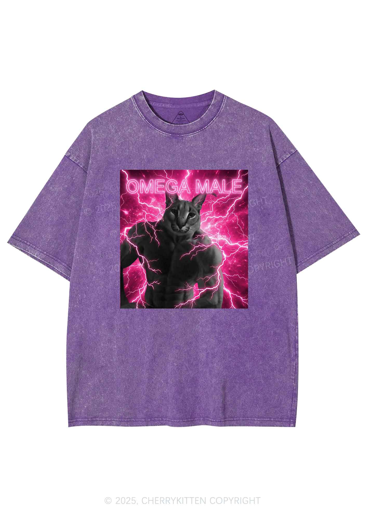 Omega Male Y2K Shirts Washed Tee Cherrykitten - Image 5