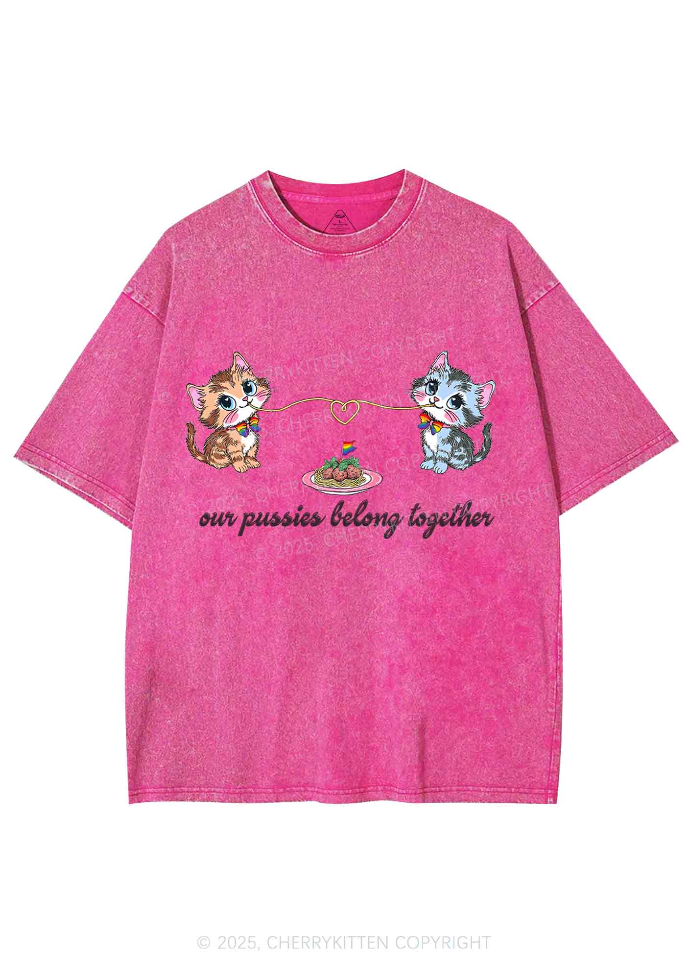 Our Puxxies Belong Together Pride Y2K Shirts Washed Tee Cherrykitten - Image 3