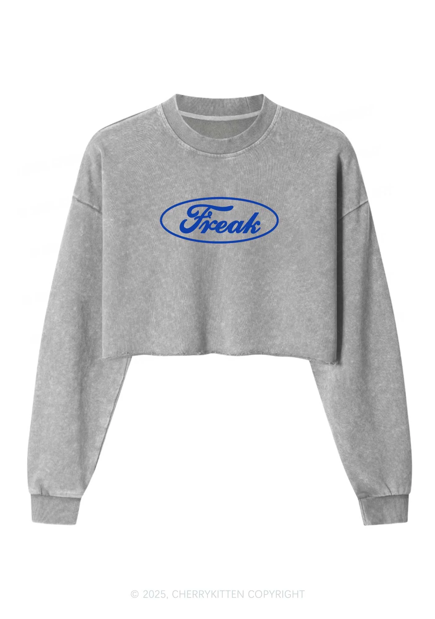 Oval Freak Y2K Crop Washed Sweatshirts Cherrykitten - Image 3
