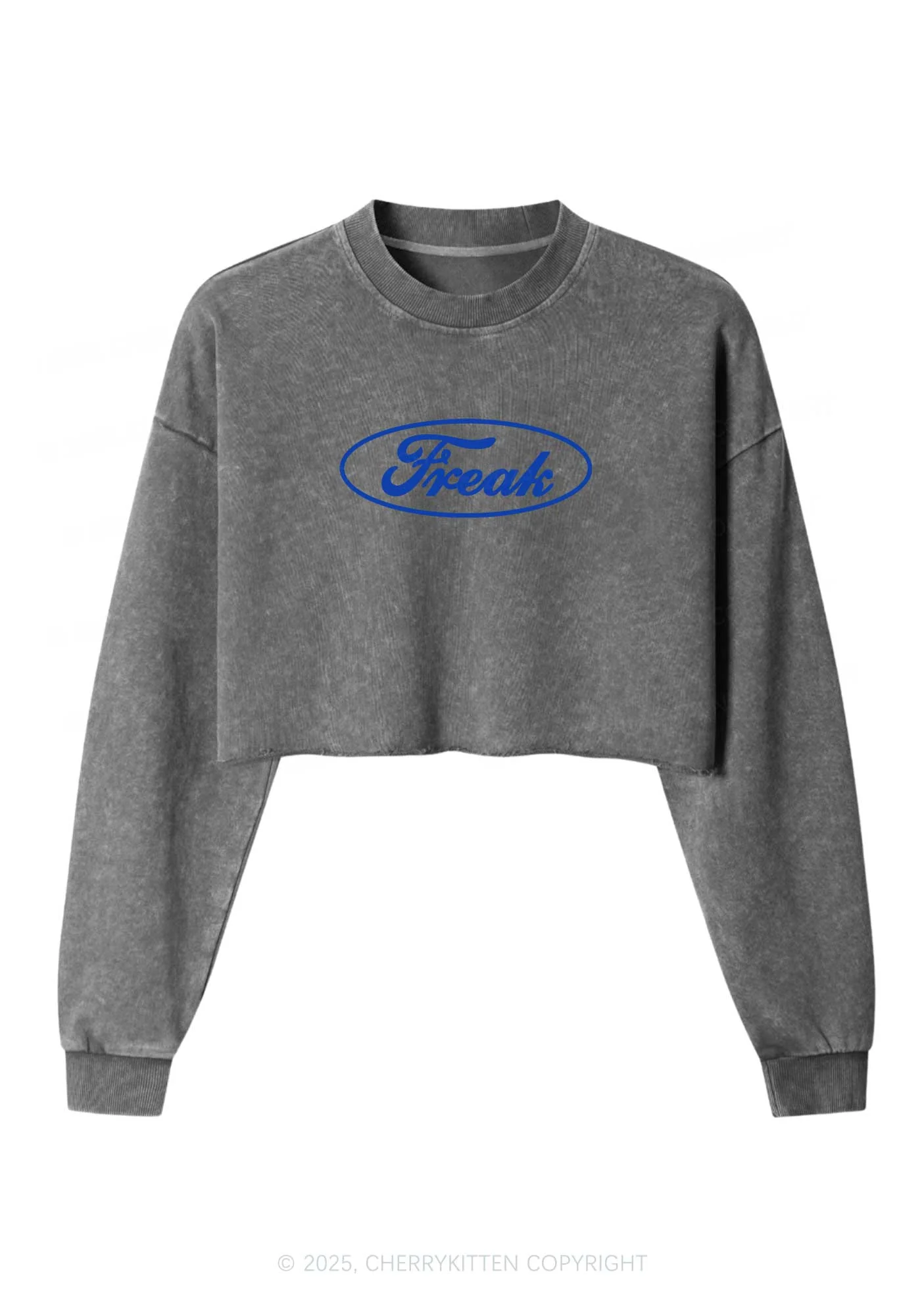 Oval Freak Y2K Crop Washed Sweatshirts Cherrykitten - Image 4