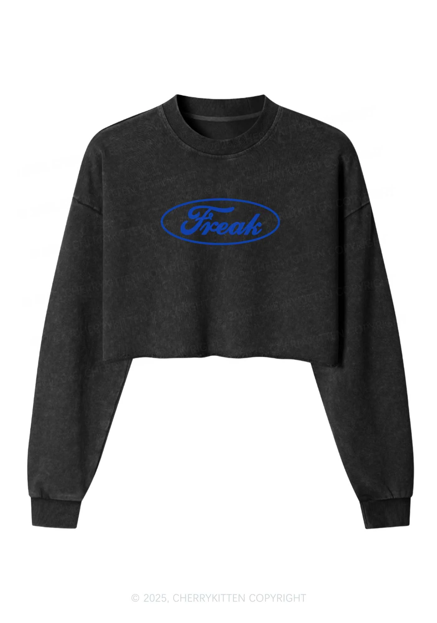 Oval Freak Y2K Crop Washed Sweatshirts Cherrykitten - Image 5
