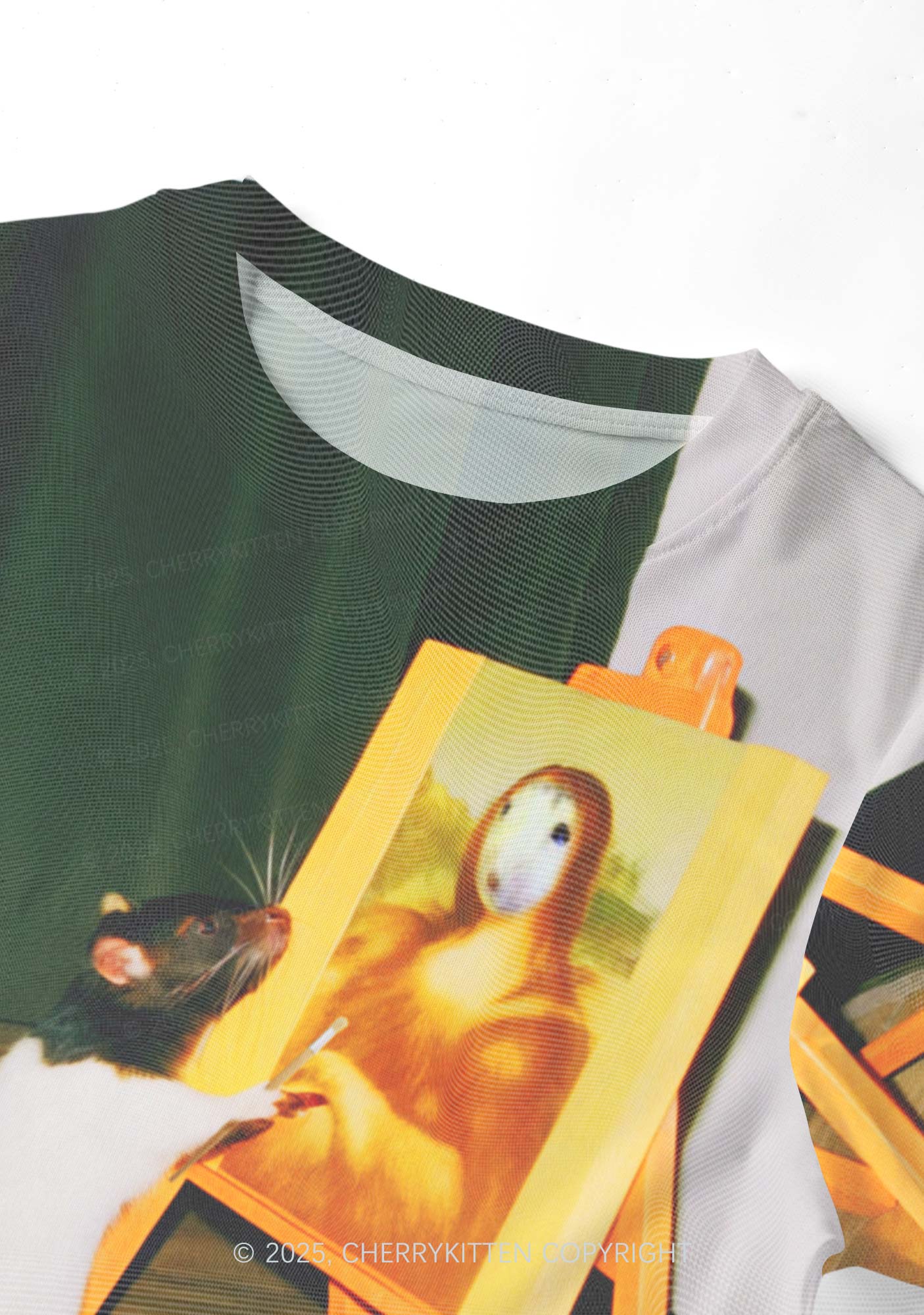 Painting Ratz Y2K Mesh Crop Top Cherrykitten - Image 4