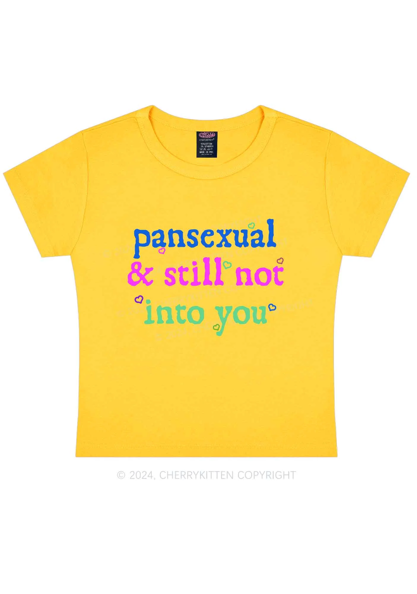 Pansexual Not Into You Y2K Baby Tee Cherrykitten - Image 9