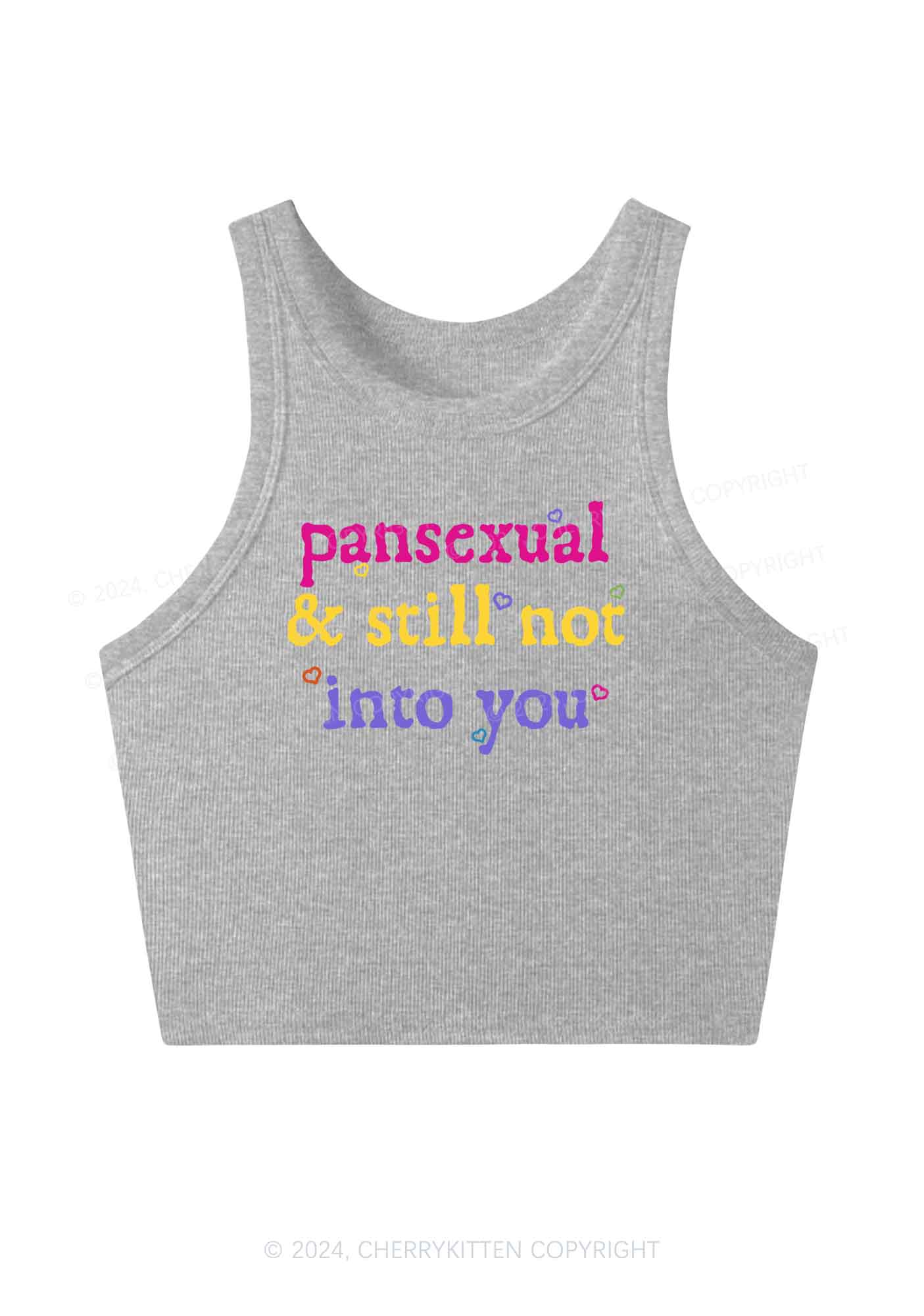 Pansexual Not Into You Y2K Crop Tank Top Cherrykitten - Image 3