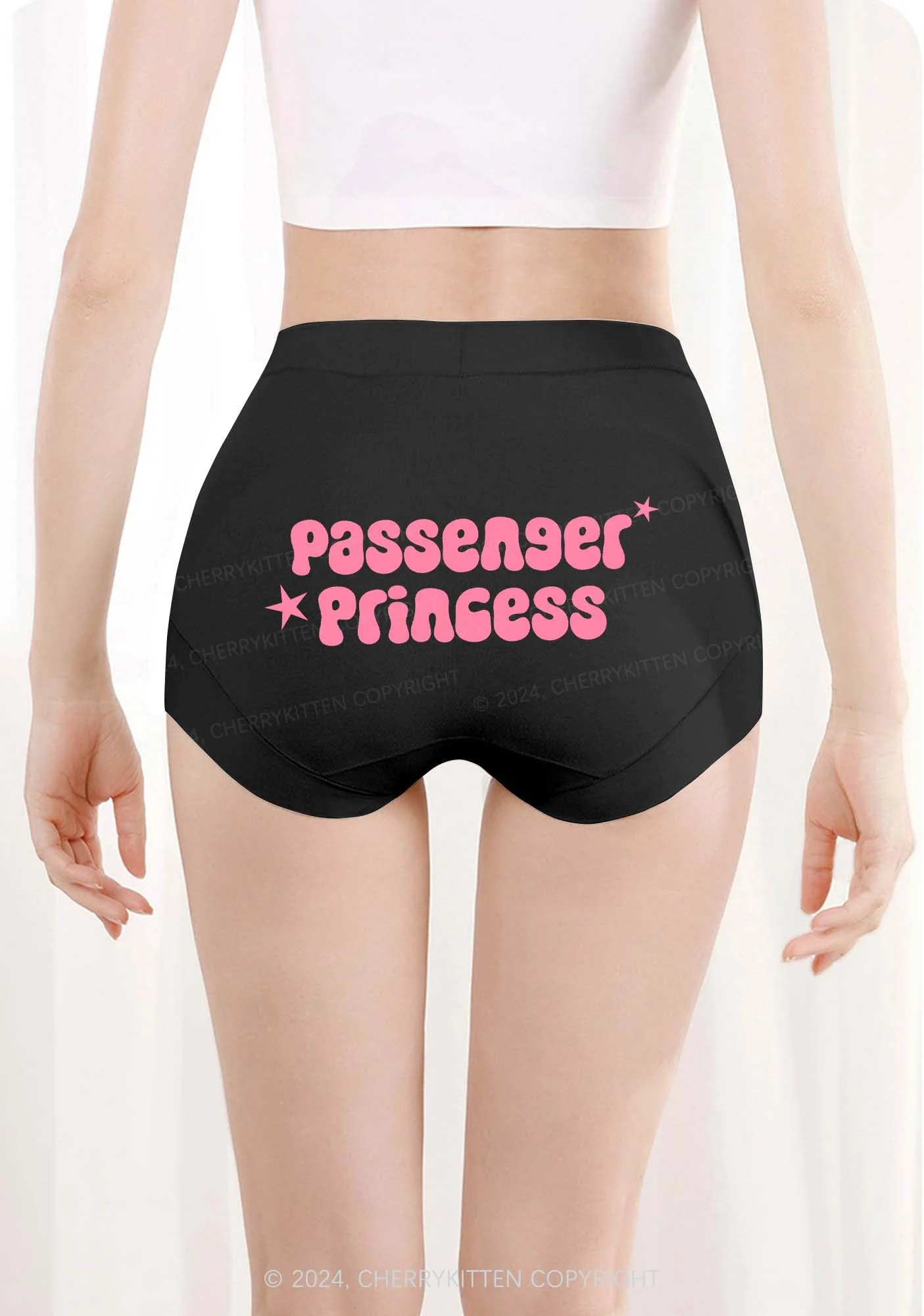 Passenger Princess Y2K Mid Rise Waist Boyshort Cherrykitten - Image 3